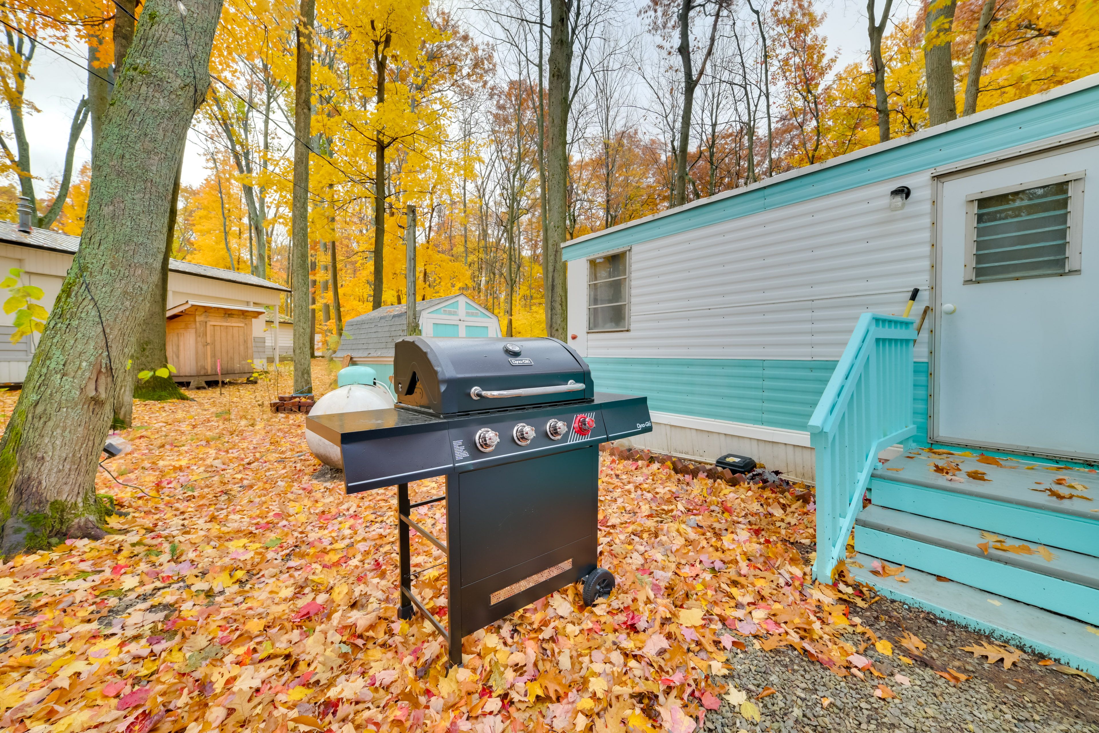 Gas Grill