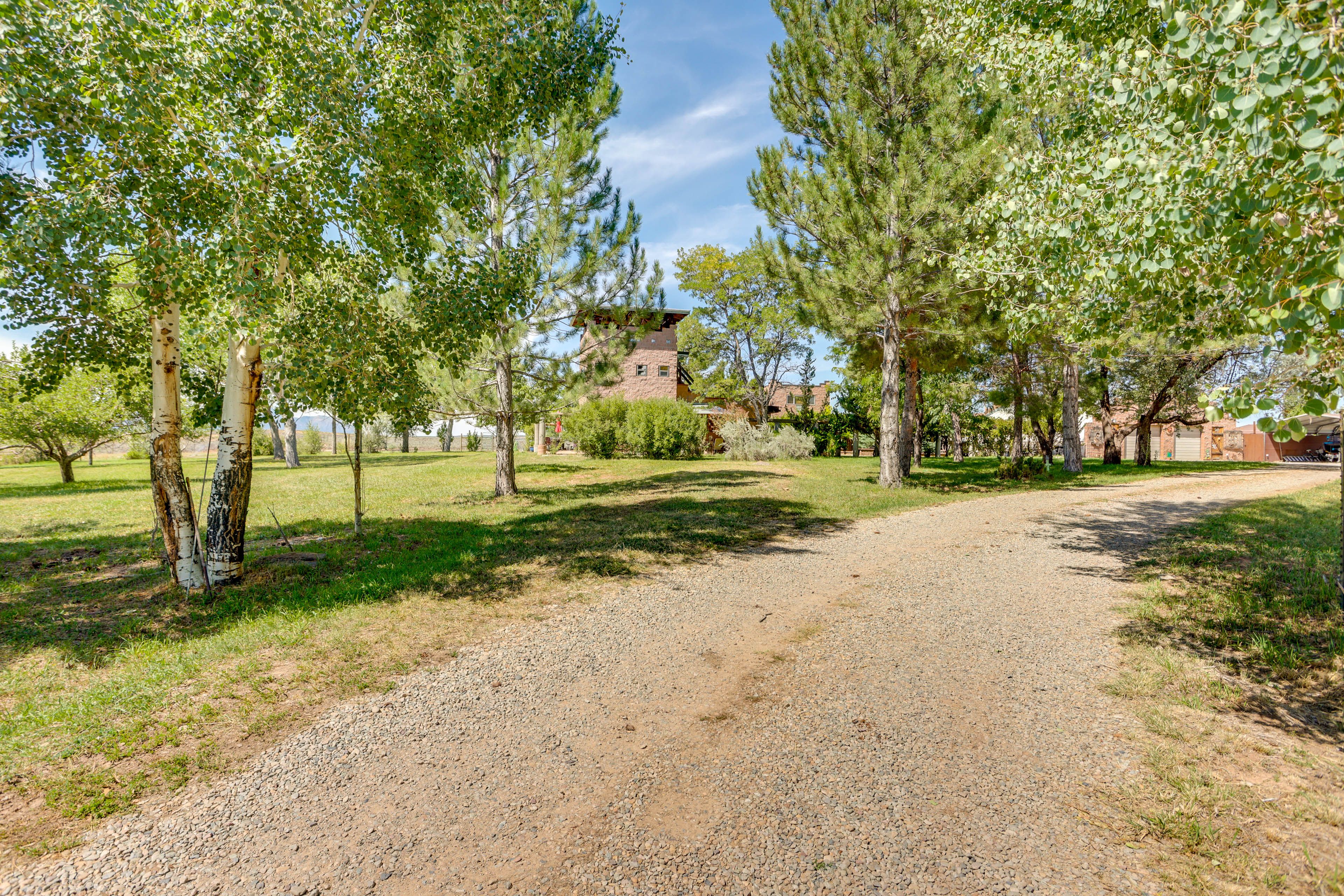 Parking | Shared Driveway (1 Vehicle)