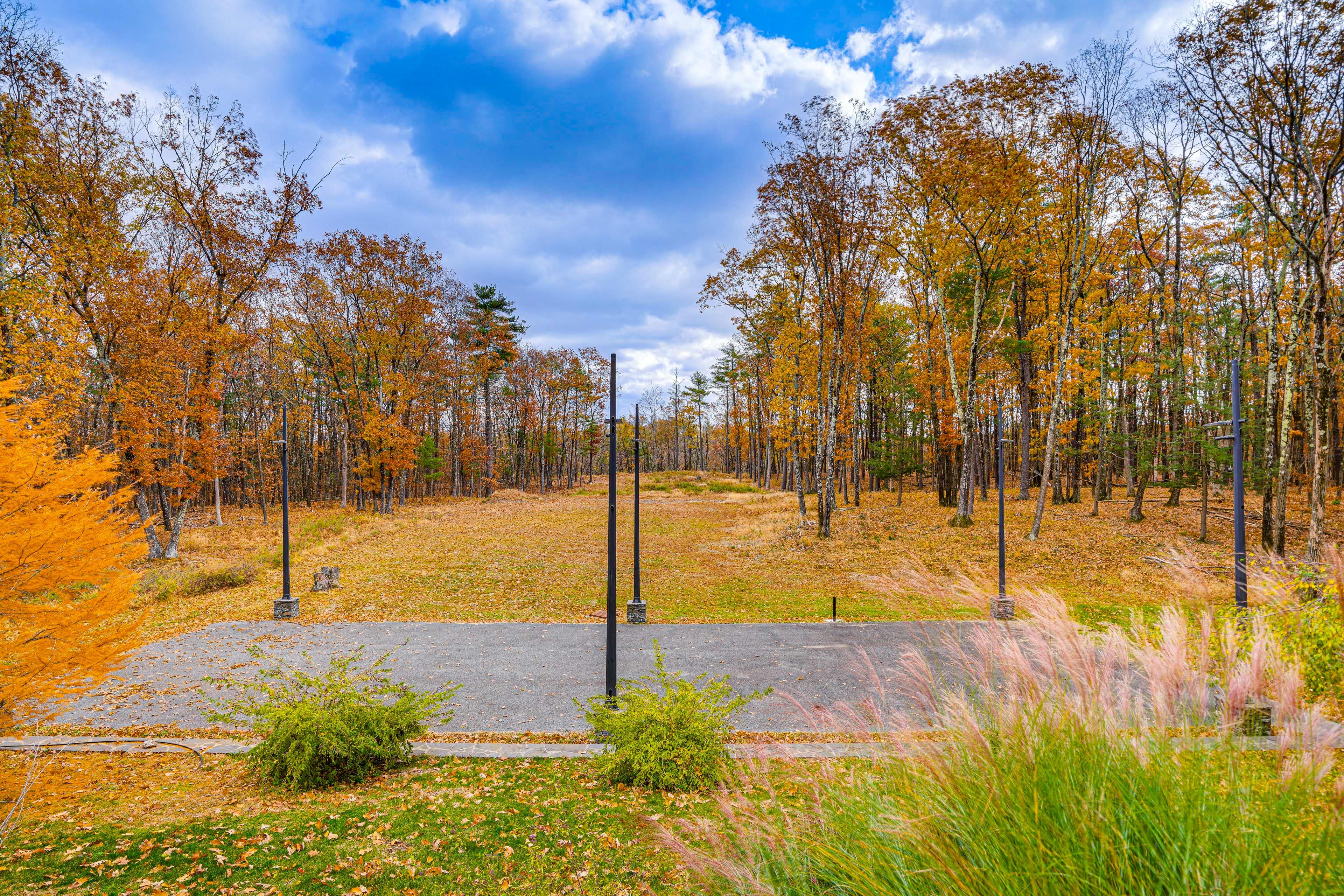 Wooded Backyard