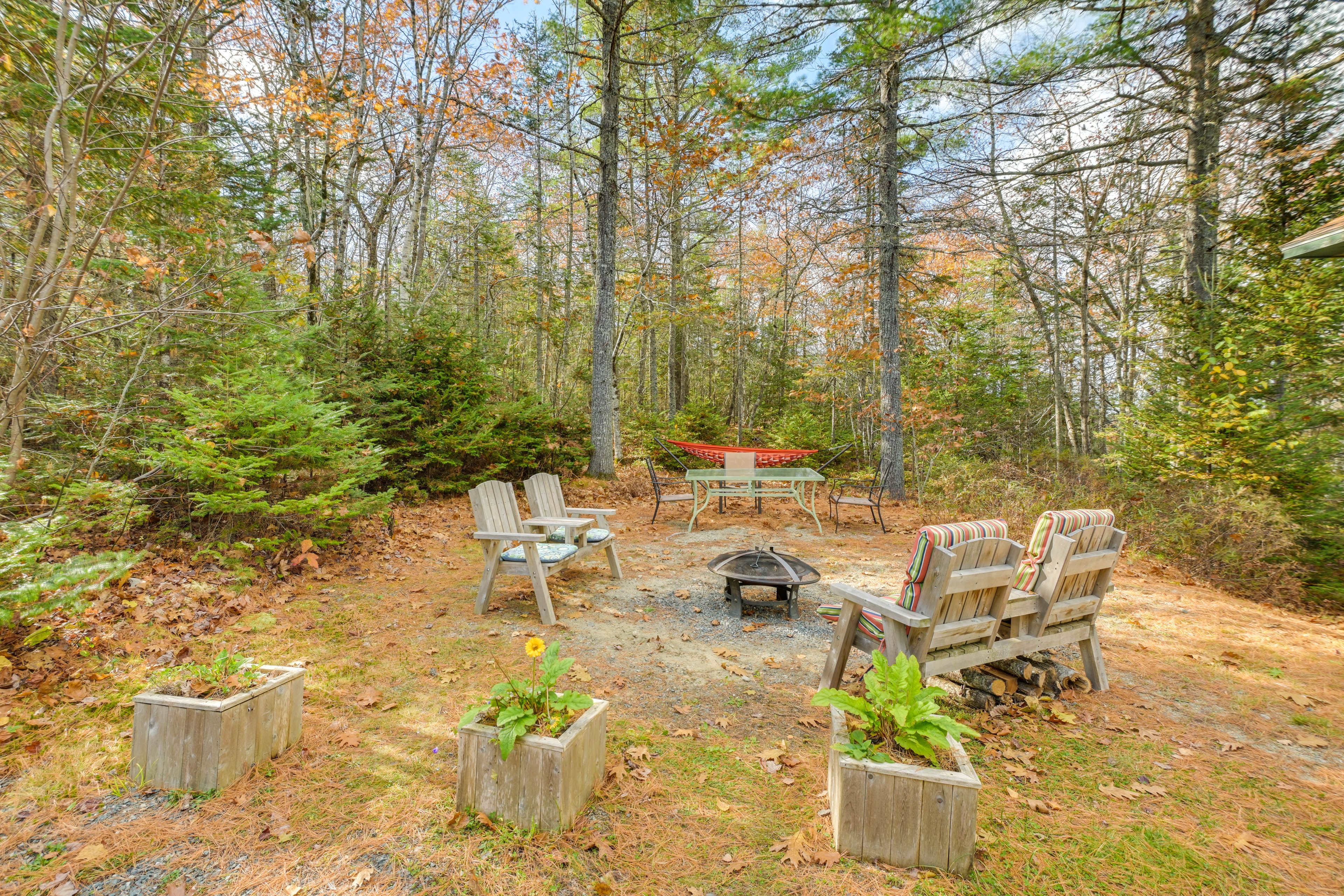 Backyard | Fire Pit (Starter Wood)