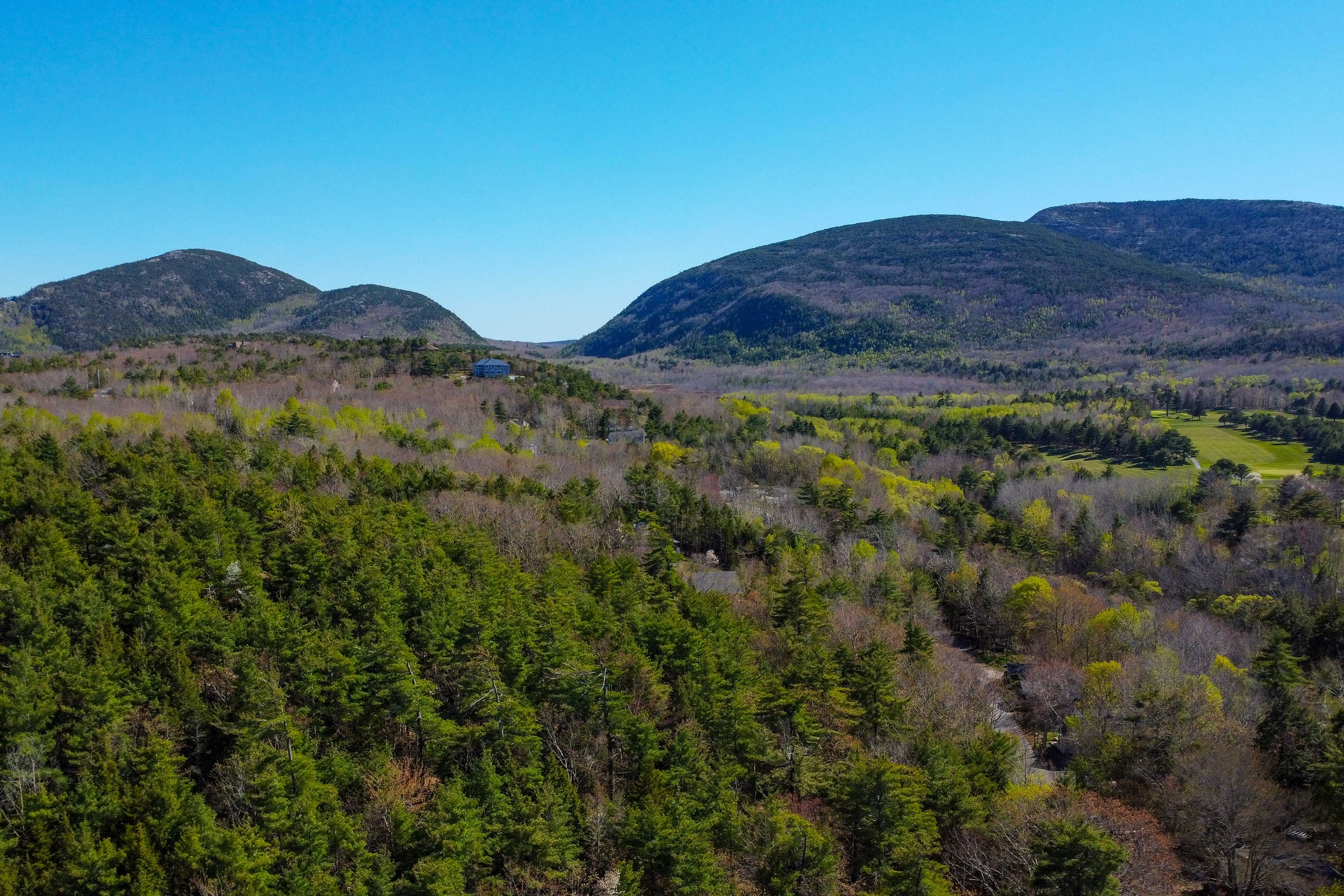 Surrounding Area