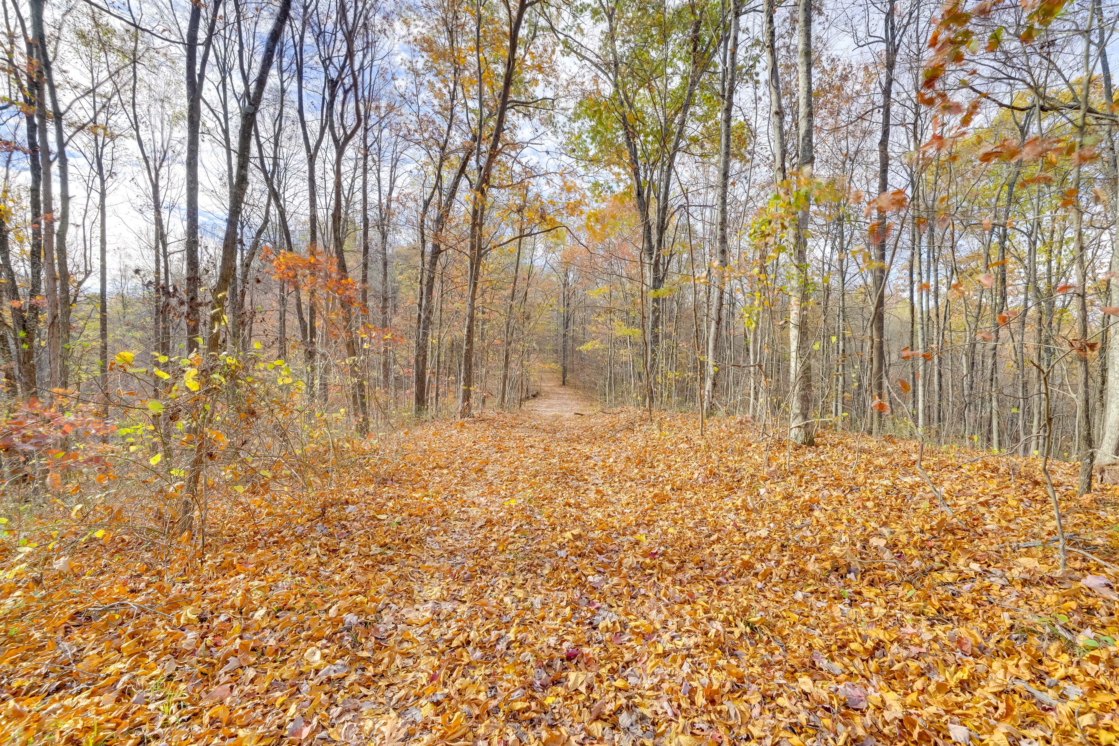 Shared Outdoor Amenities | Walking Trails