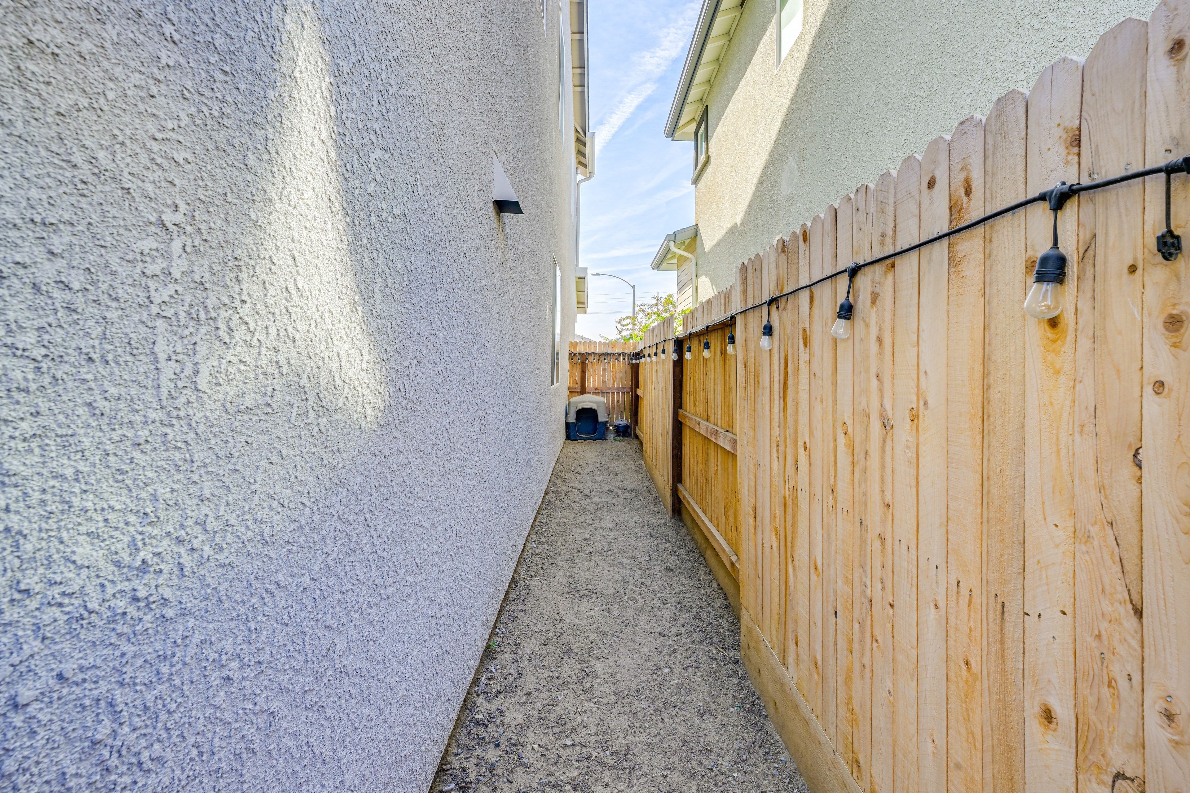 Fenced Dog Run