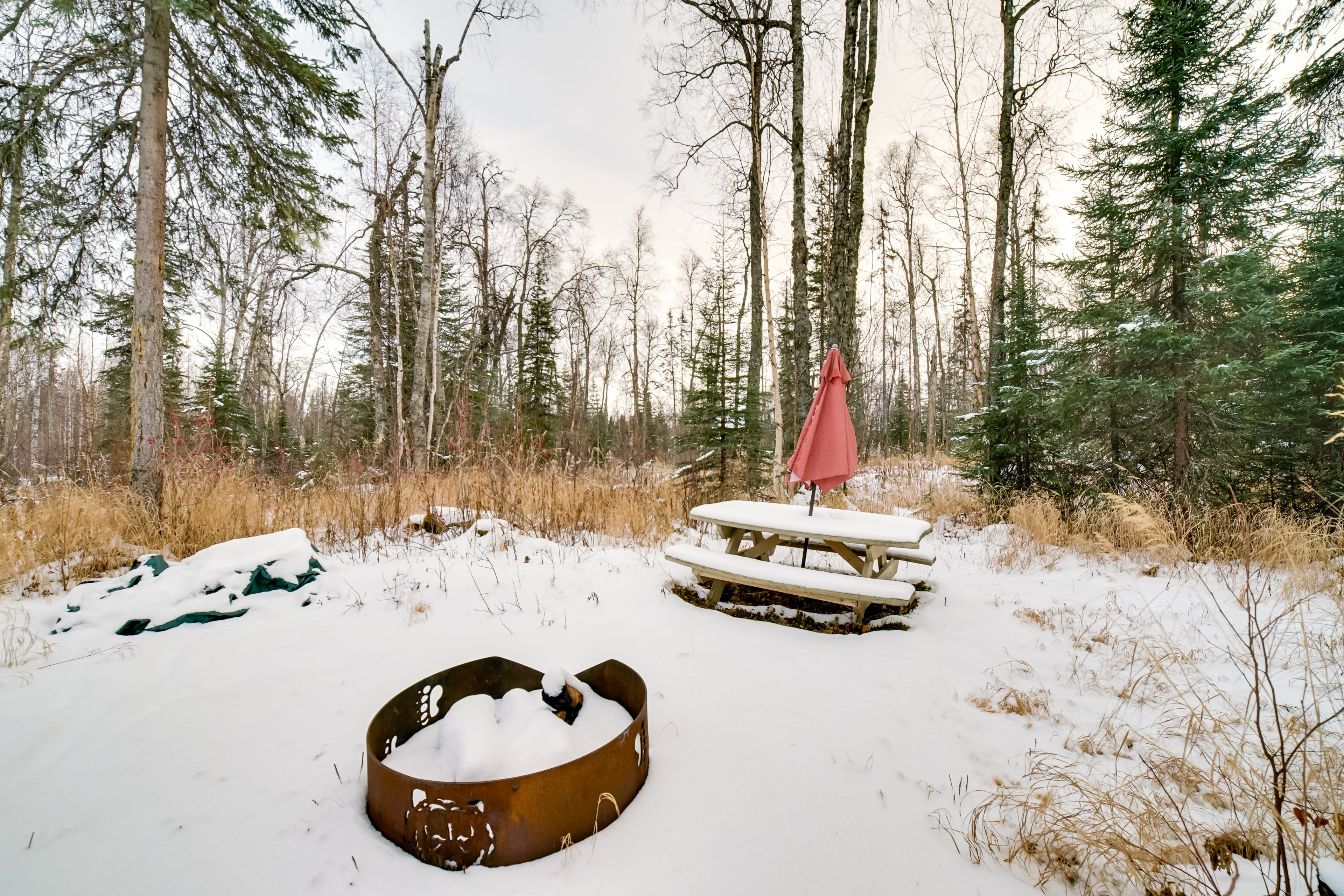 Wooded Yard | Fire Pit