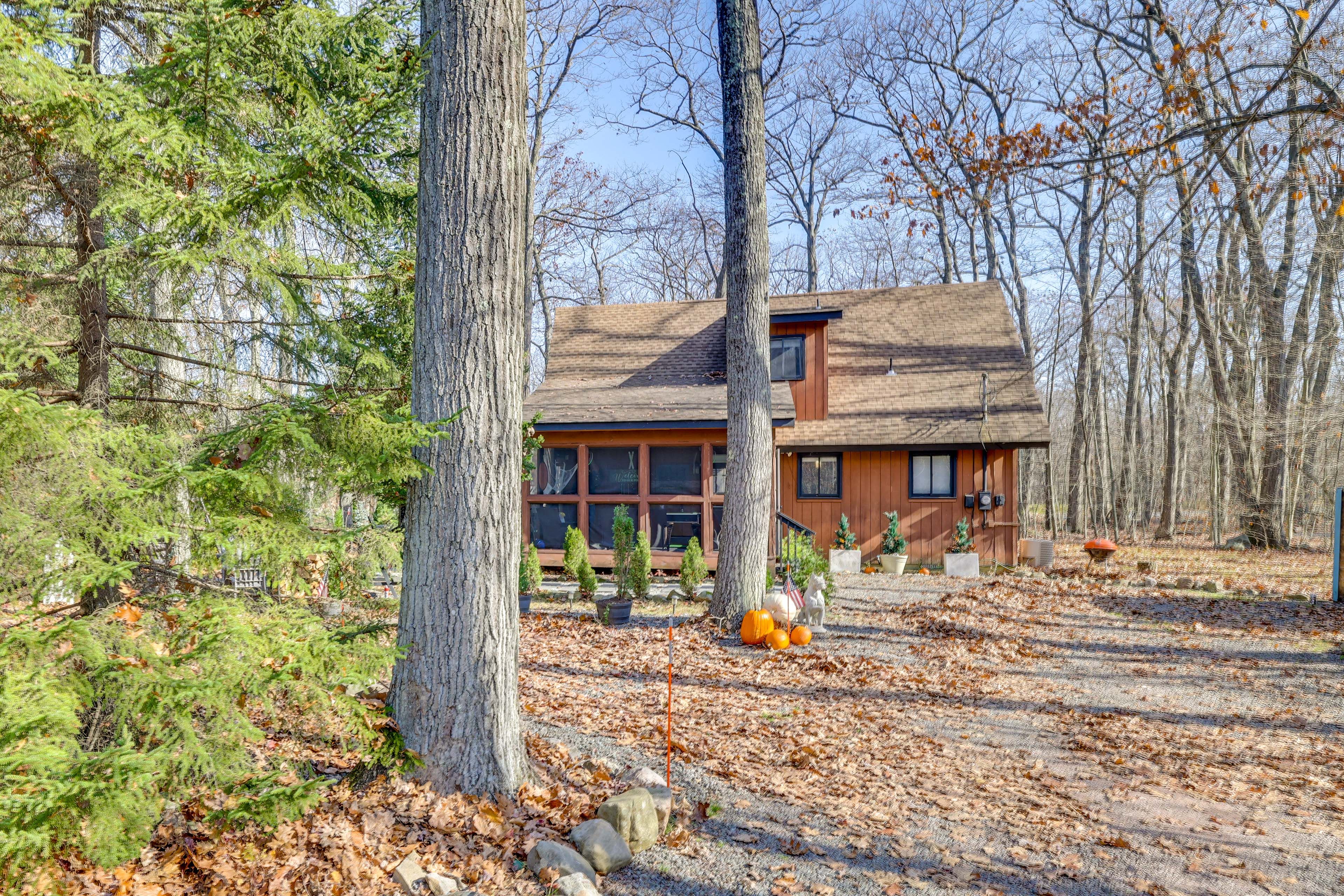 Cabin Exterior