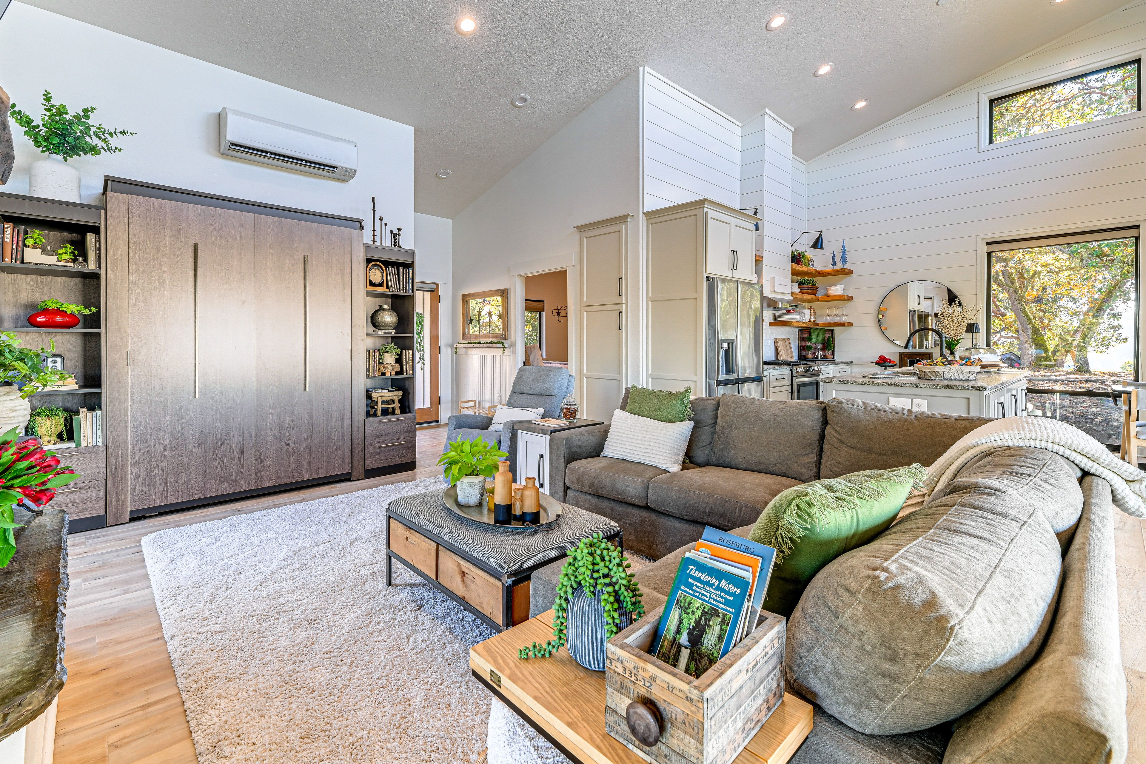 Living Room | Queen Murphy Bed