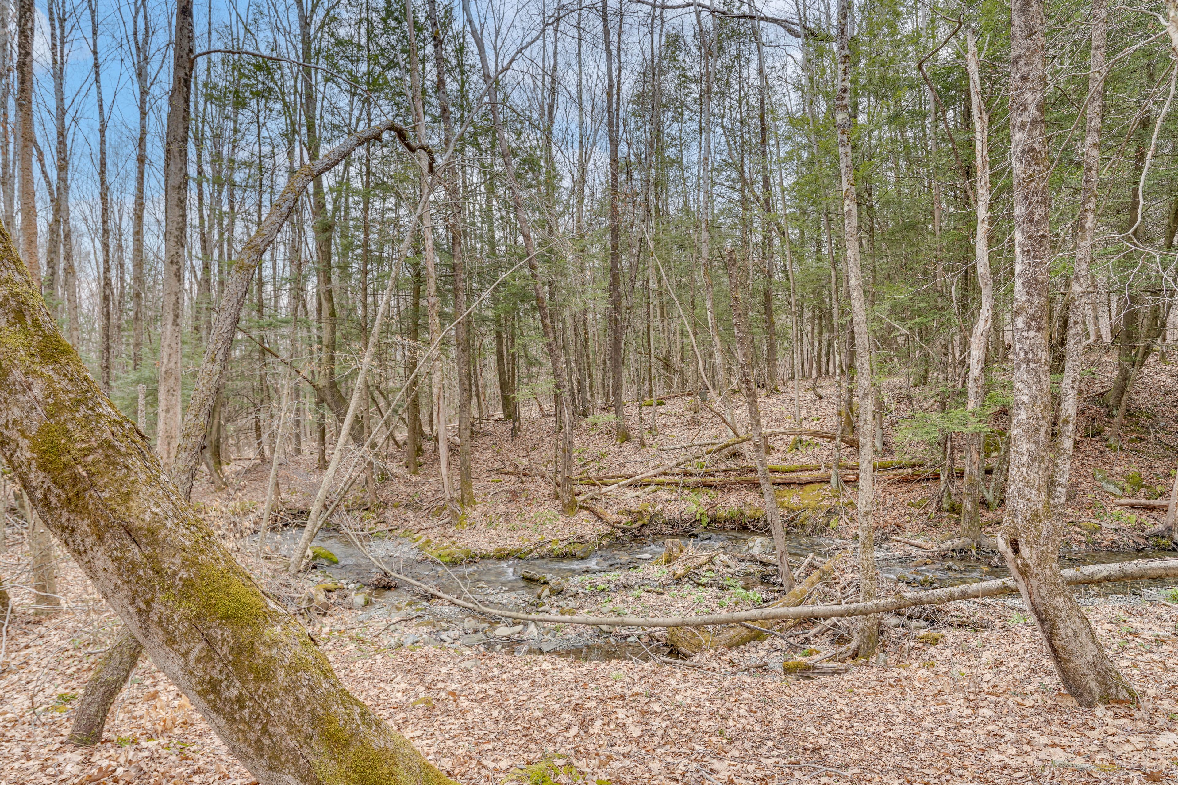 Stream & Hiking Trails On-Site