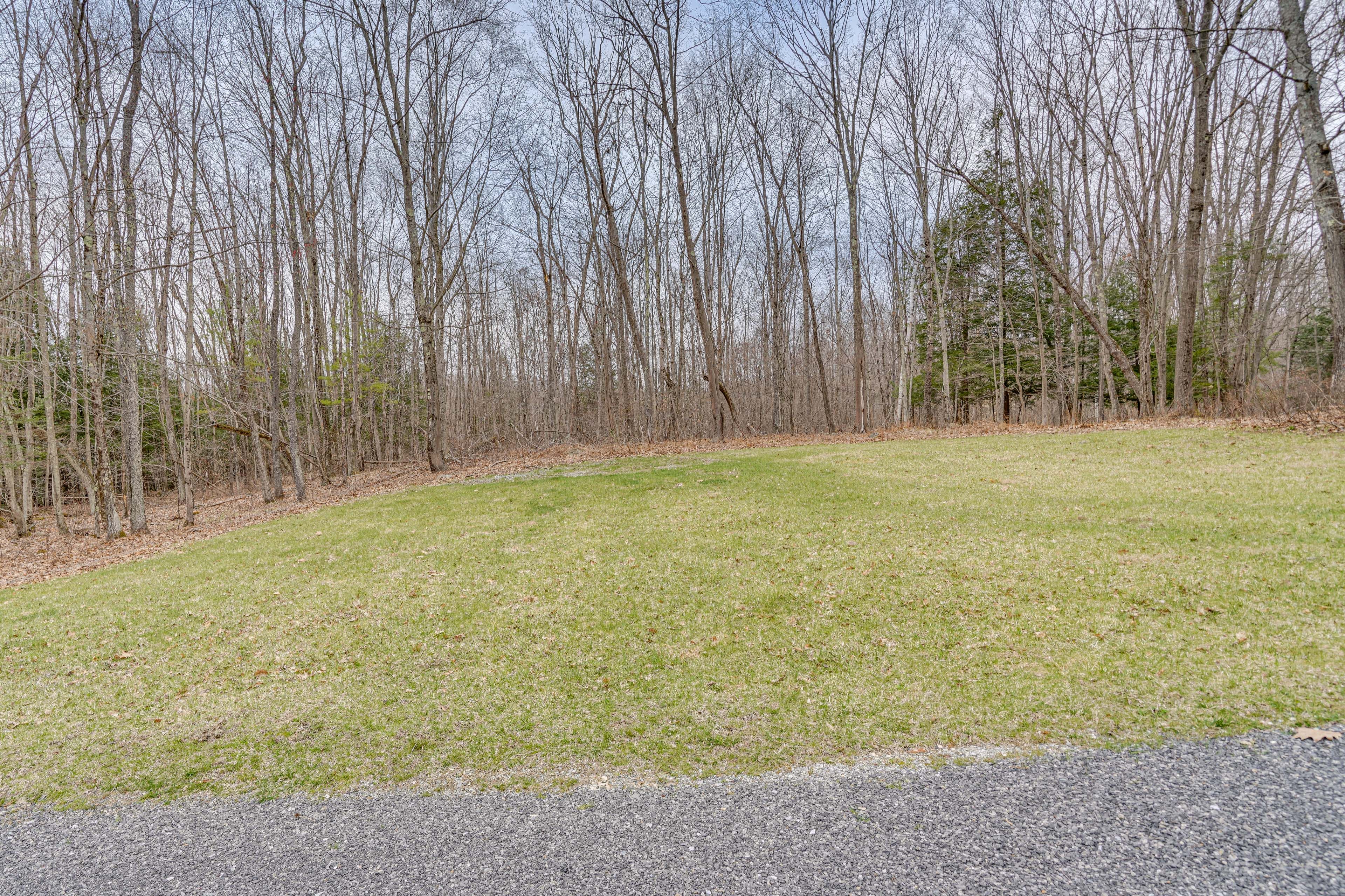 Wooded Views | 5-Acre Property