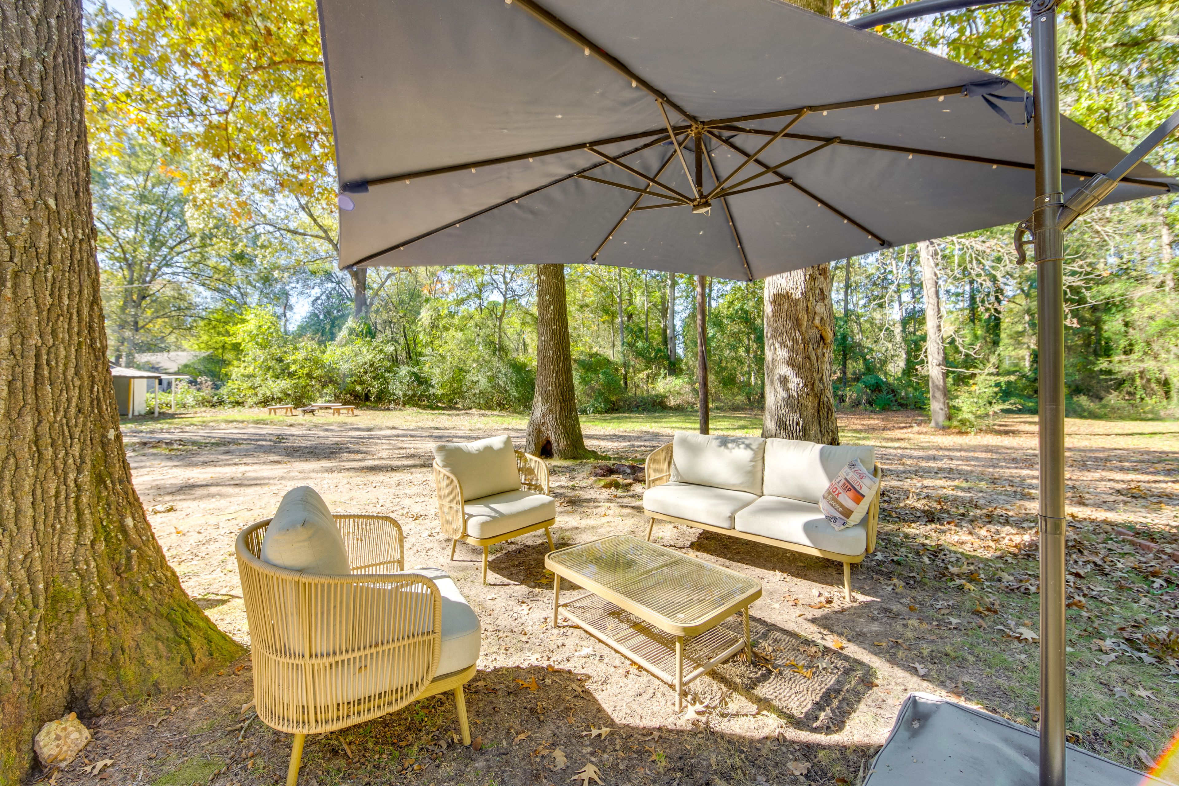 Outdoor Lounge Area