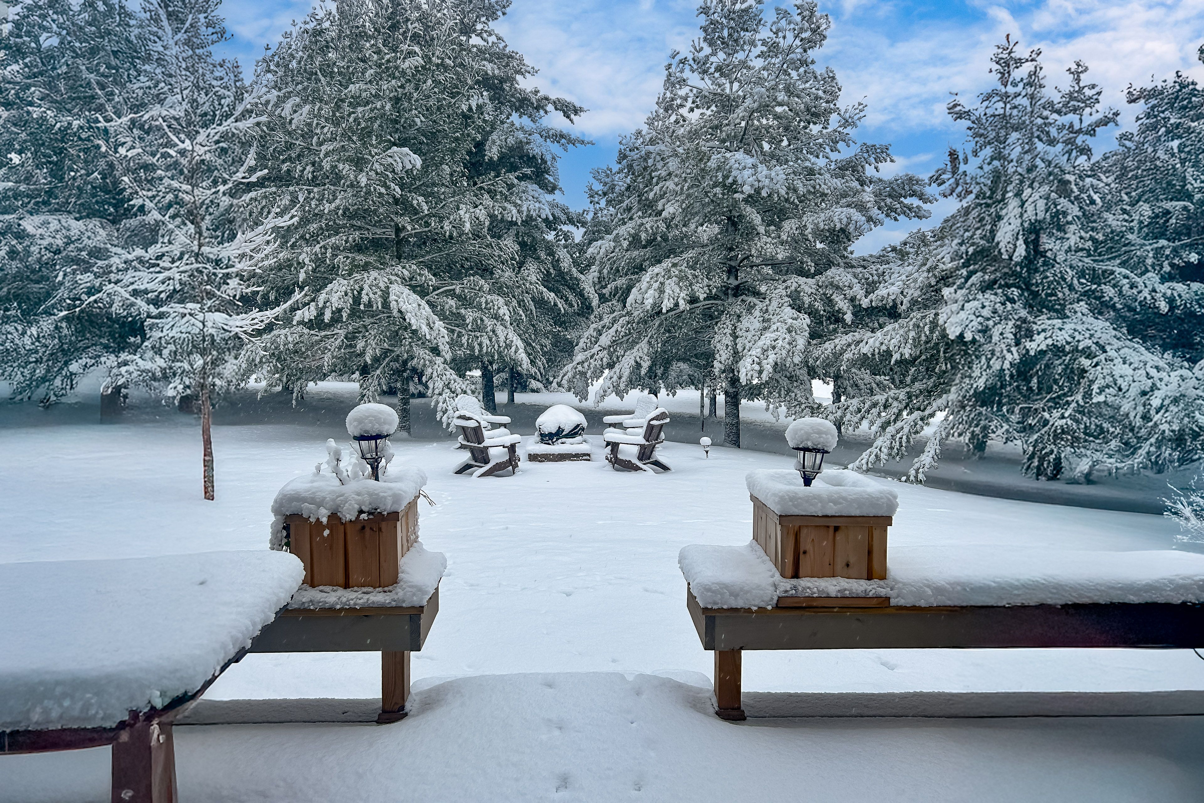 Backyard in Winter