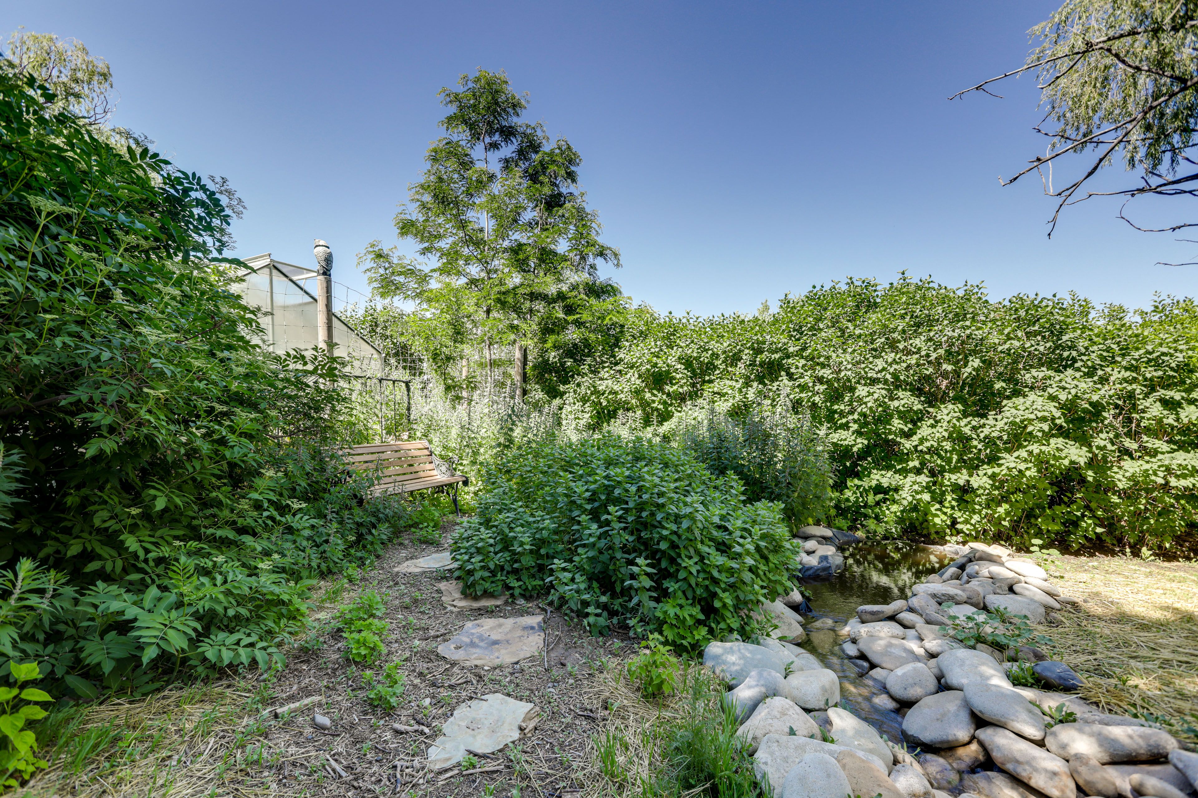 Backyard