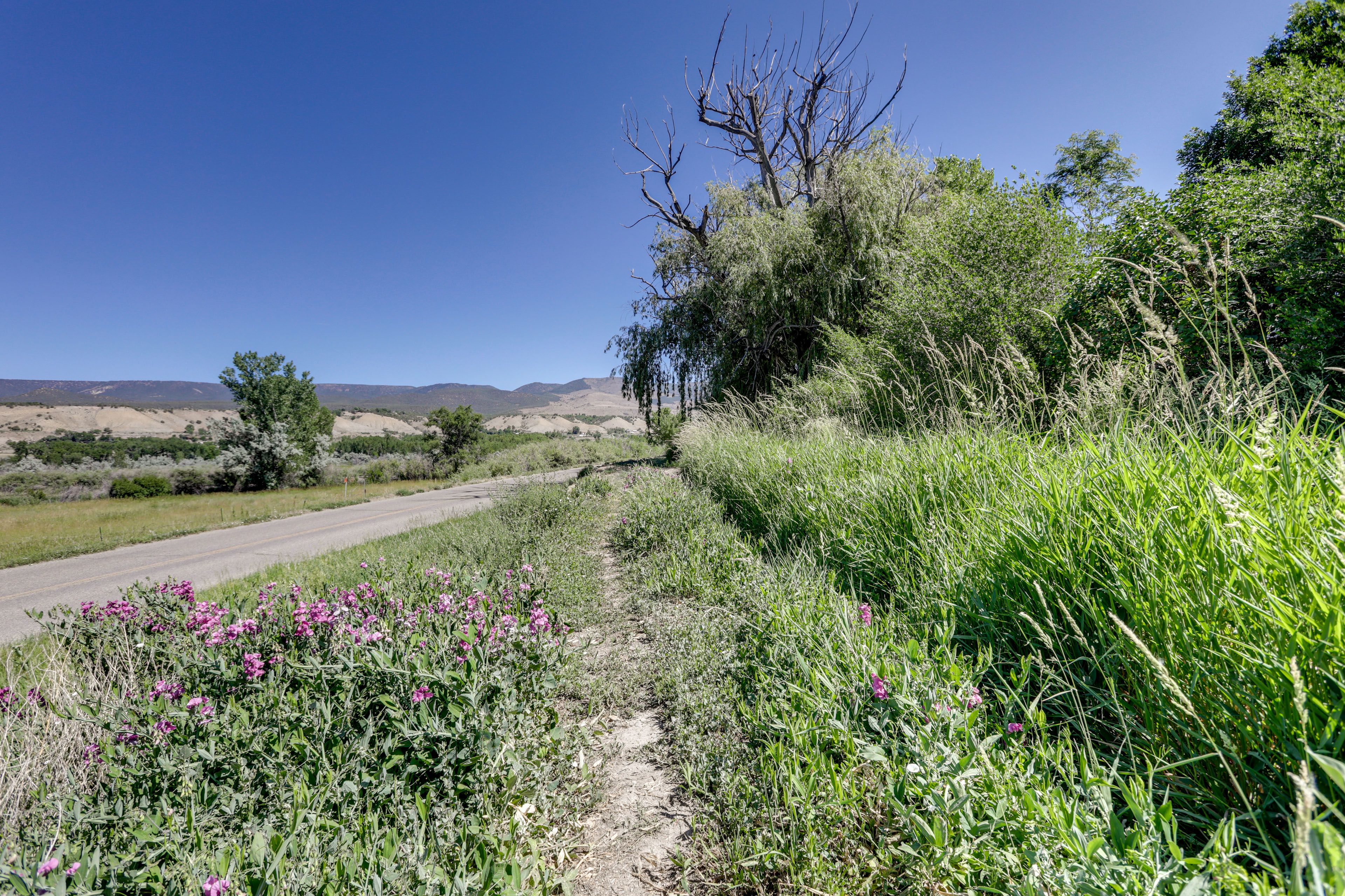 Surrounding Area