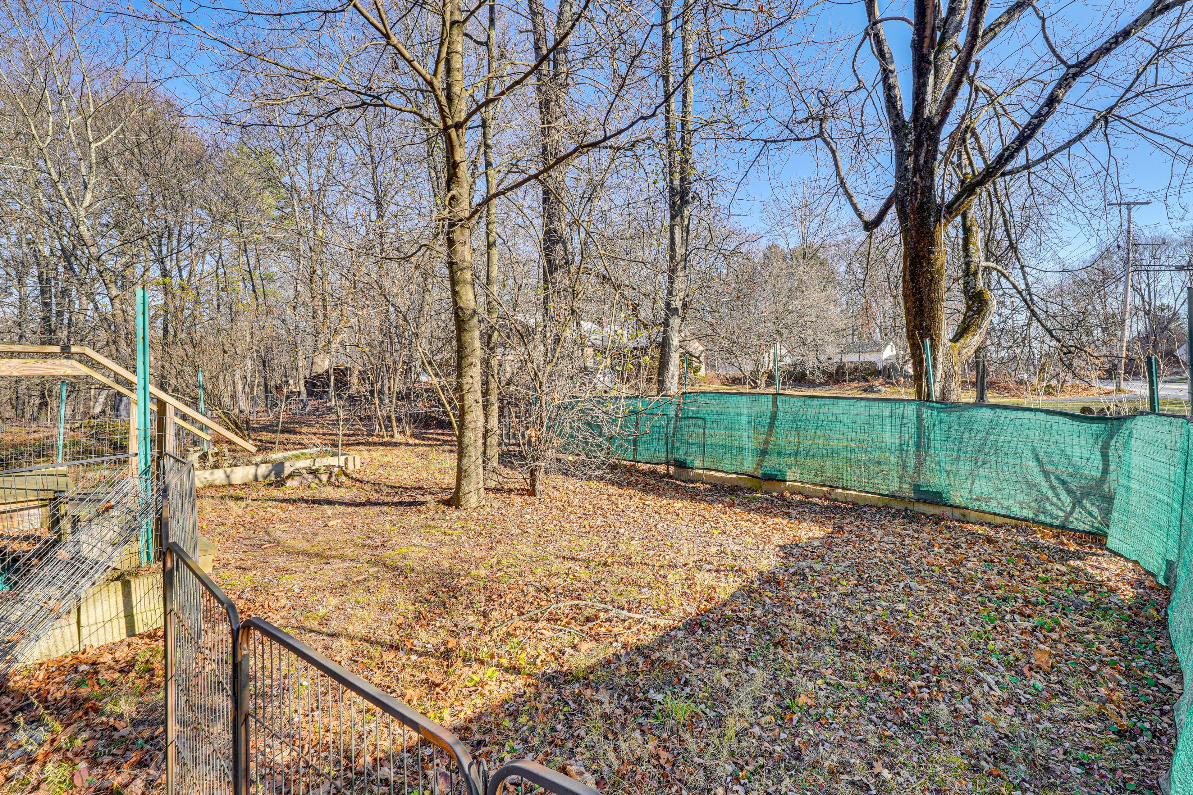 Fenced Backyard