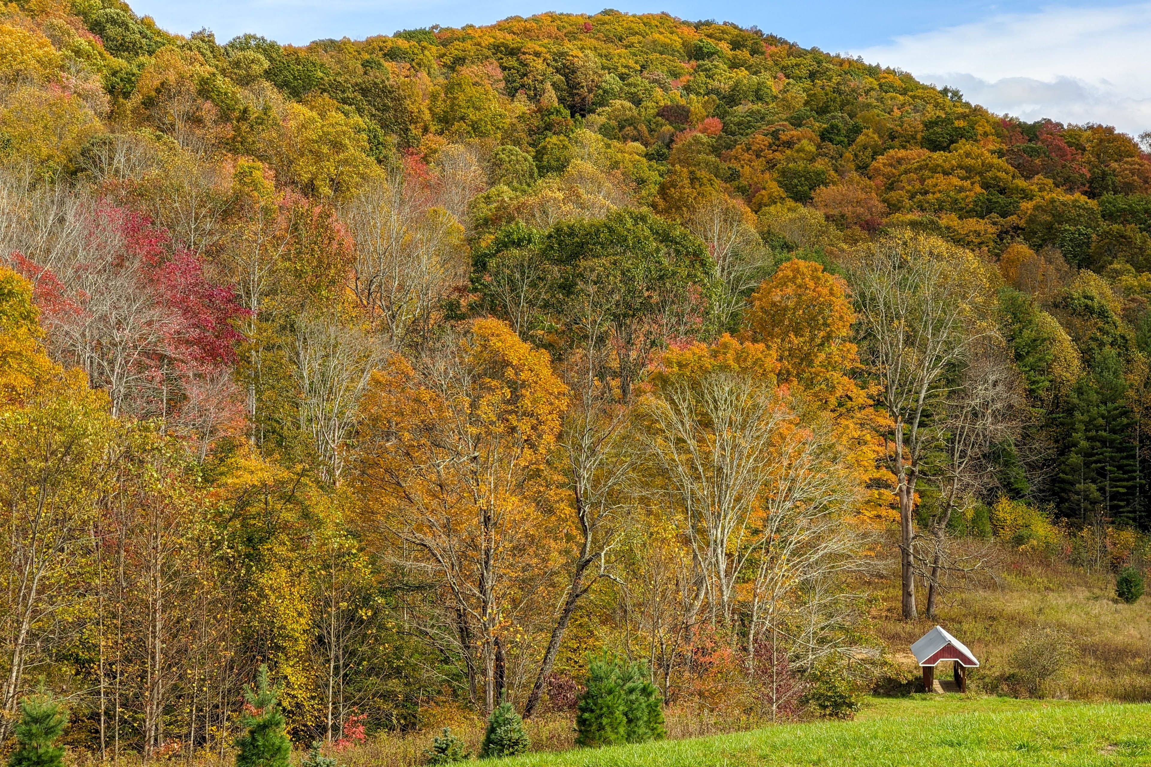 Surrounding Area | Forested Views & Hiking Trails