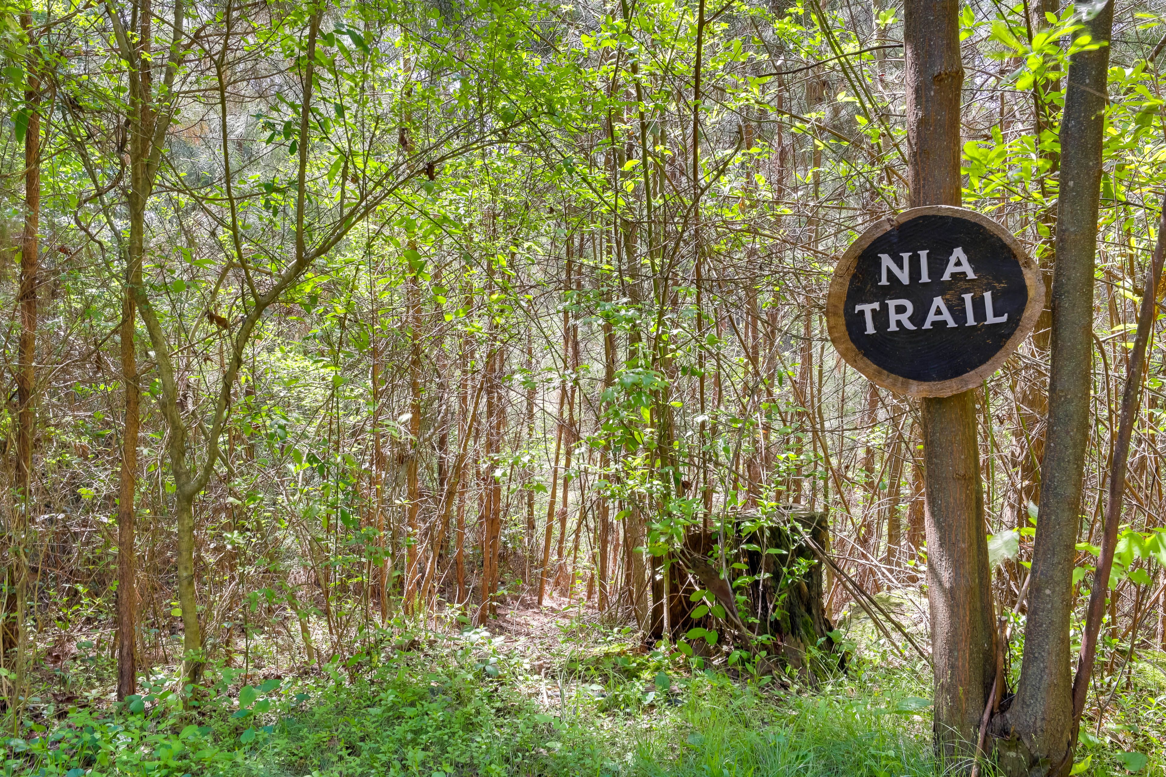 Shared Trail Access