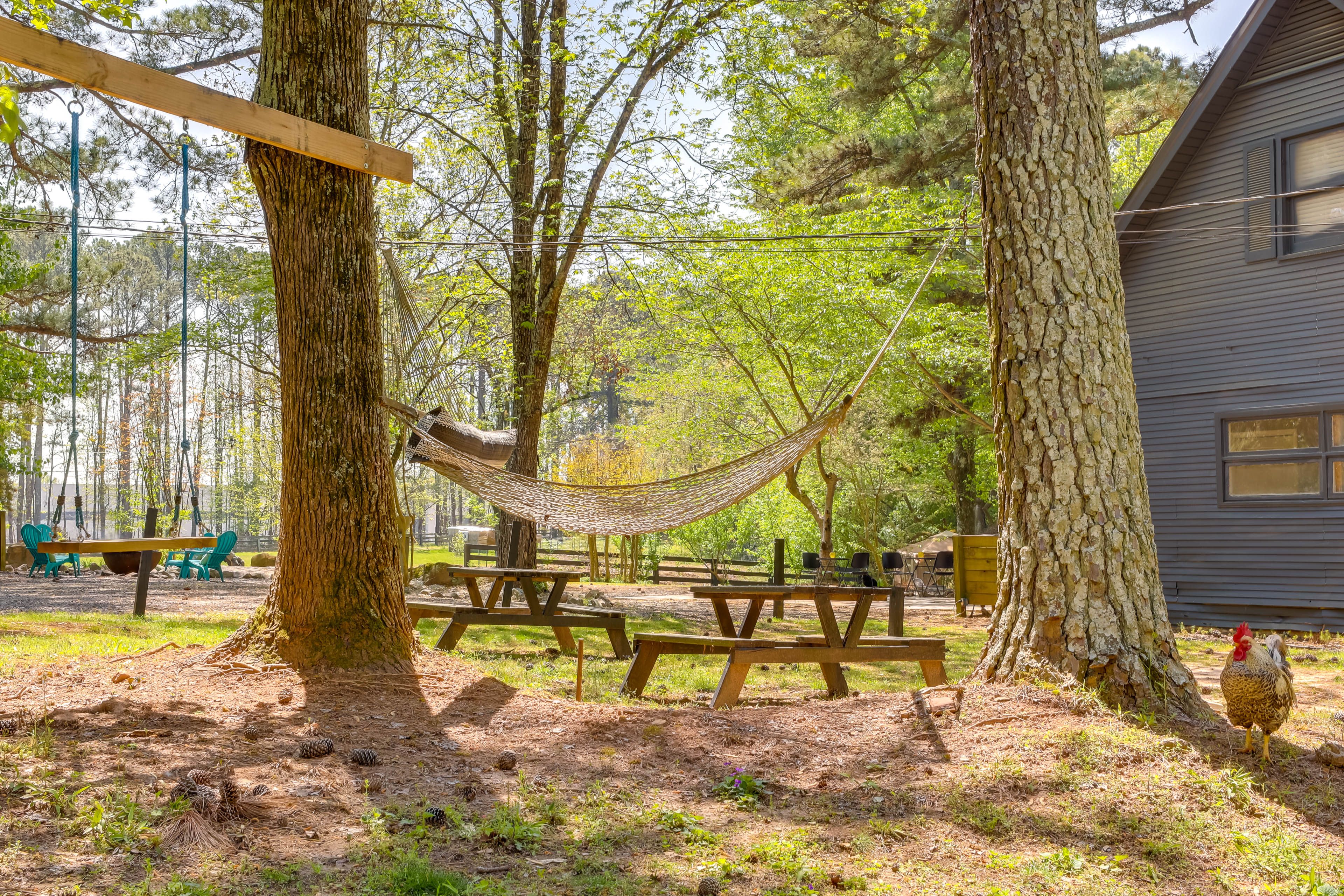 Shared Hammocks | Picnic Area