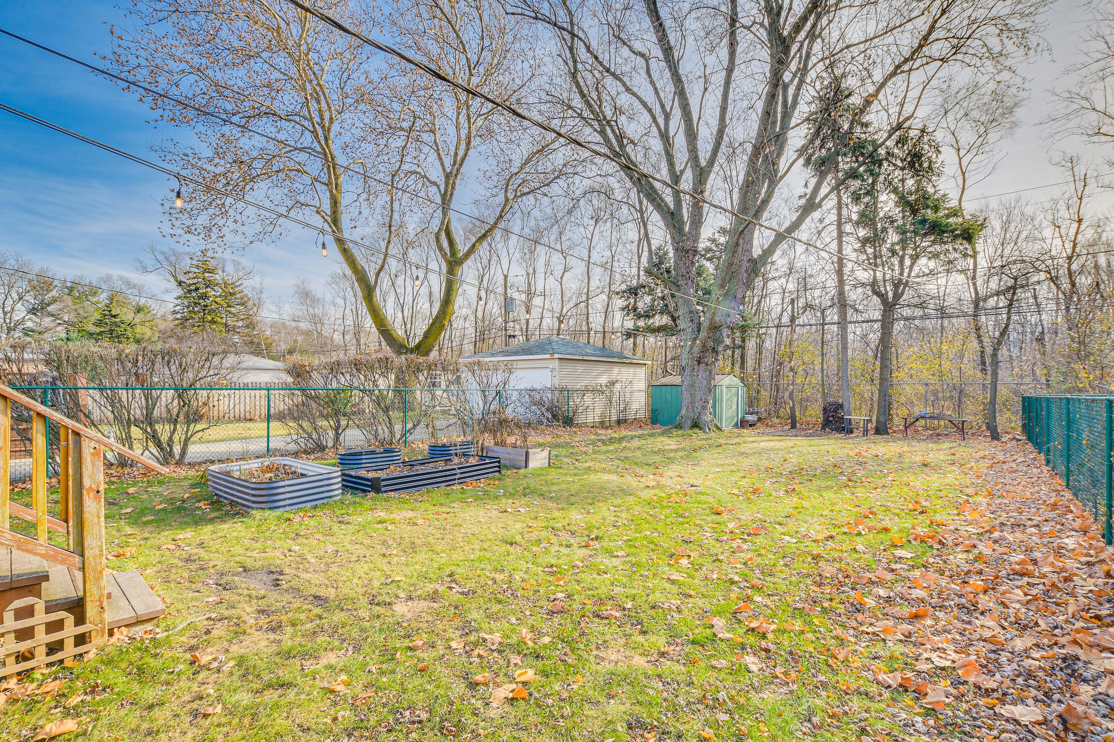 Fenced Backyard