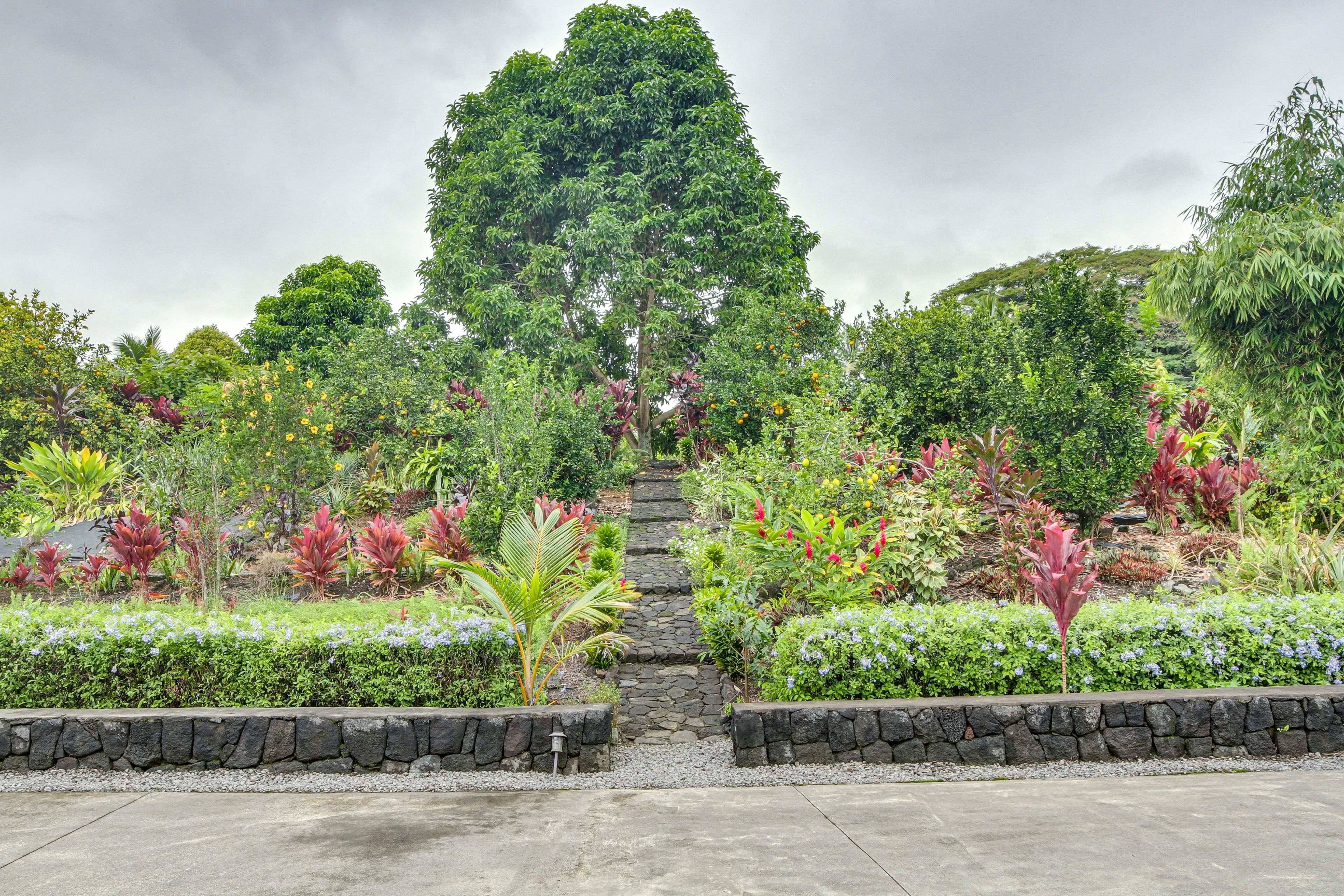Garden | Seasonal Fruit Trees