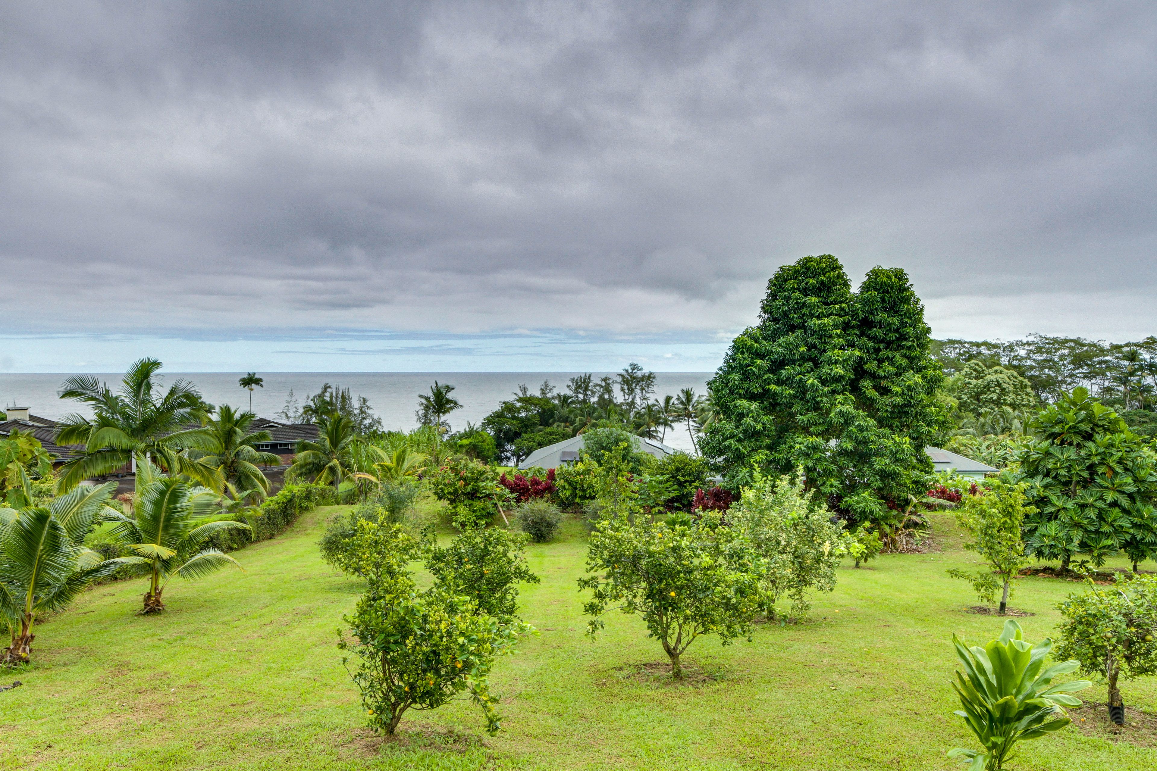 Property Overview