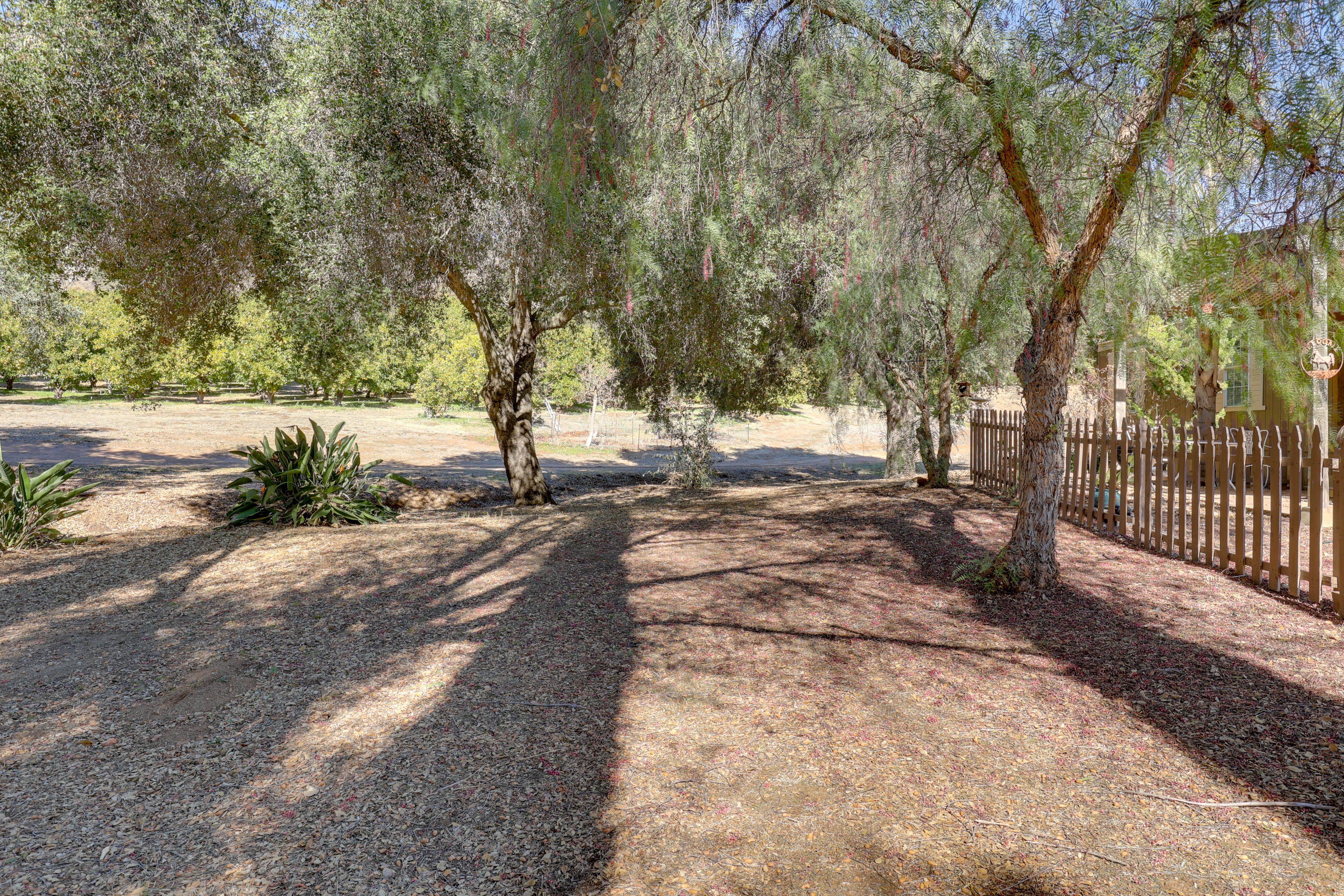 Property Surroundings