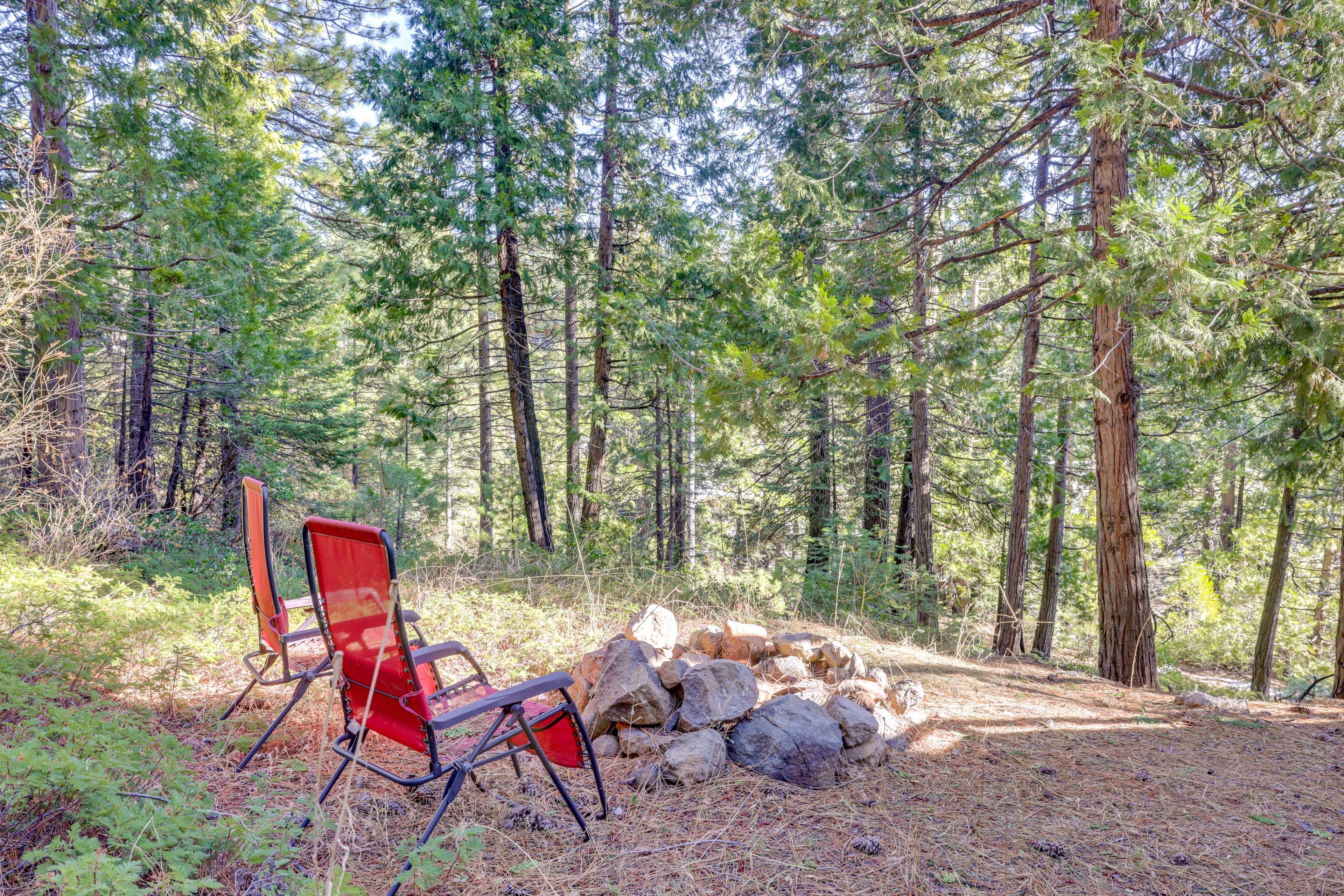 Fire Pit | Outdoor Seating