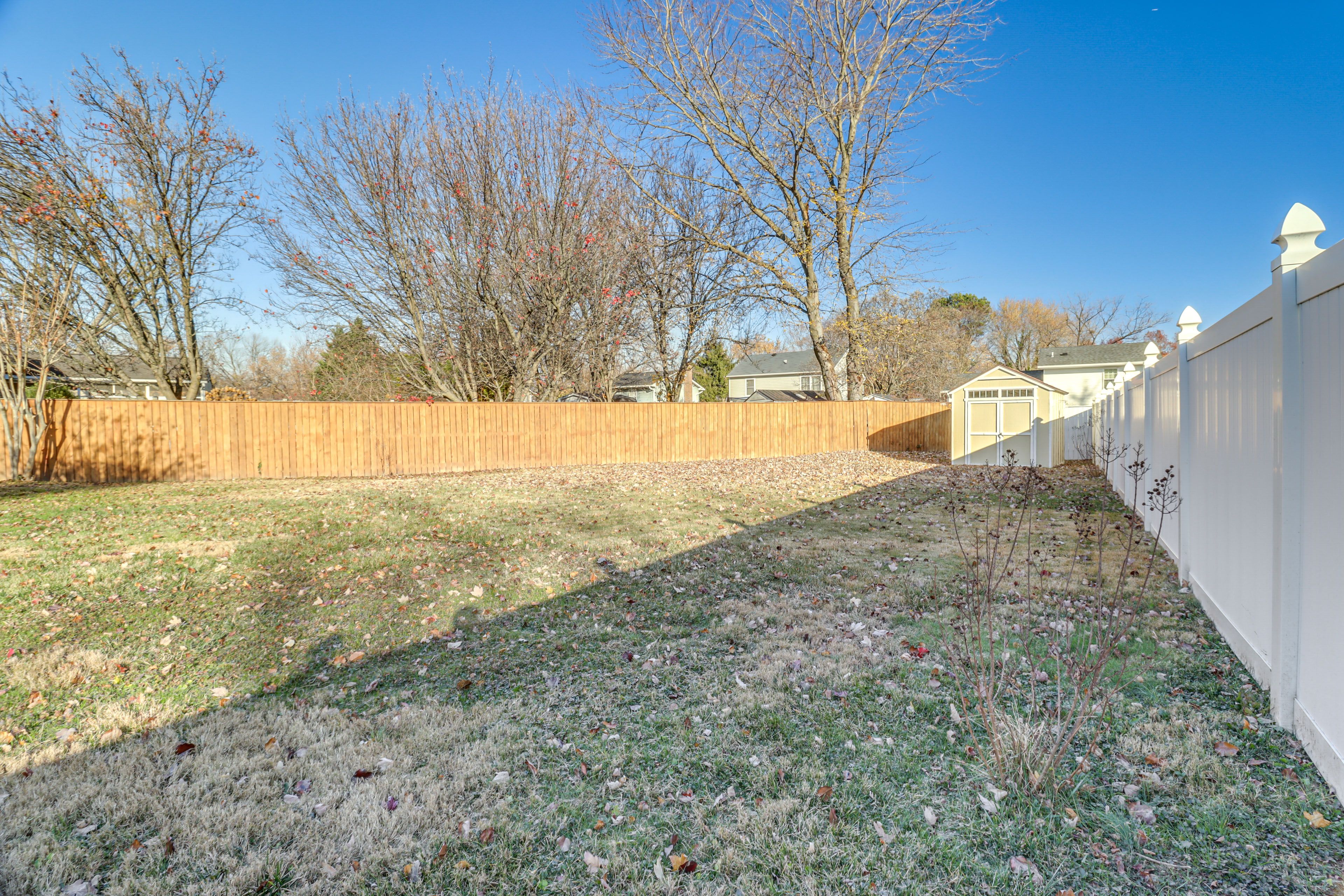 Fenced Backyard