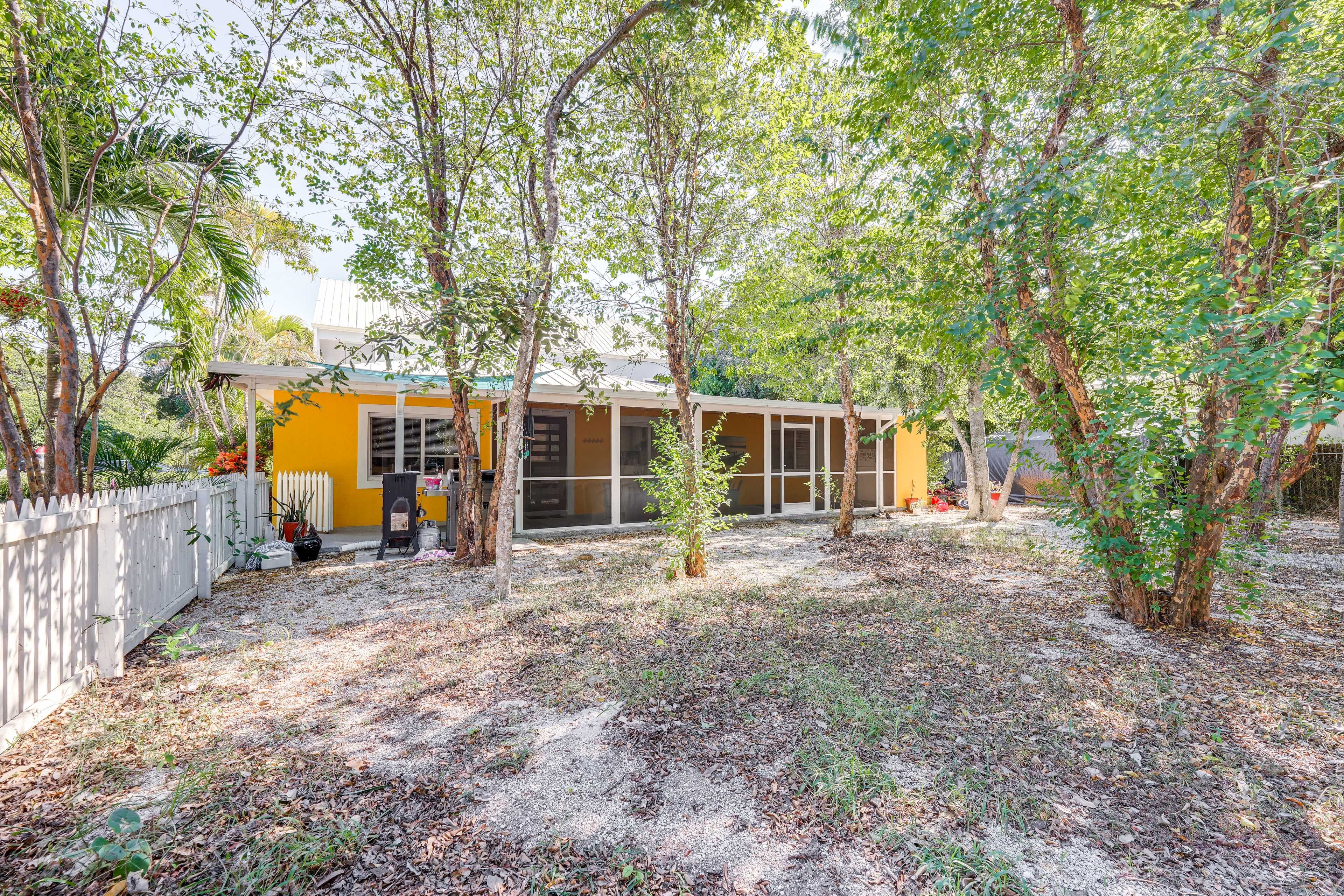 Fenced-In Backyard
