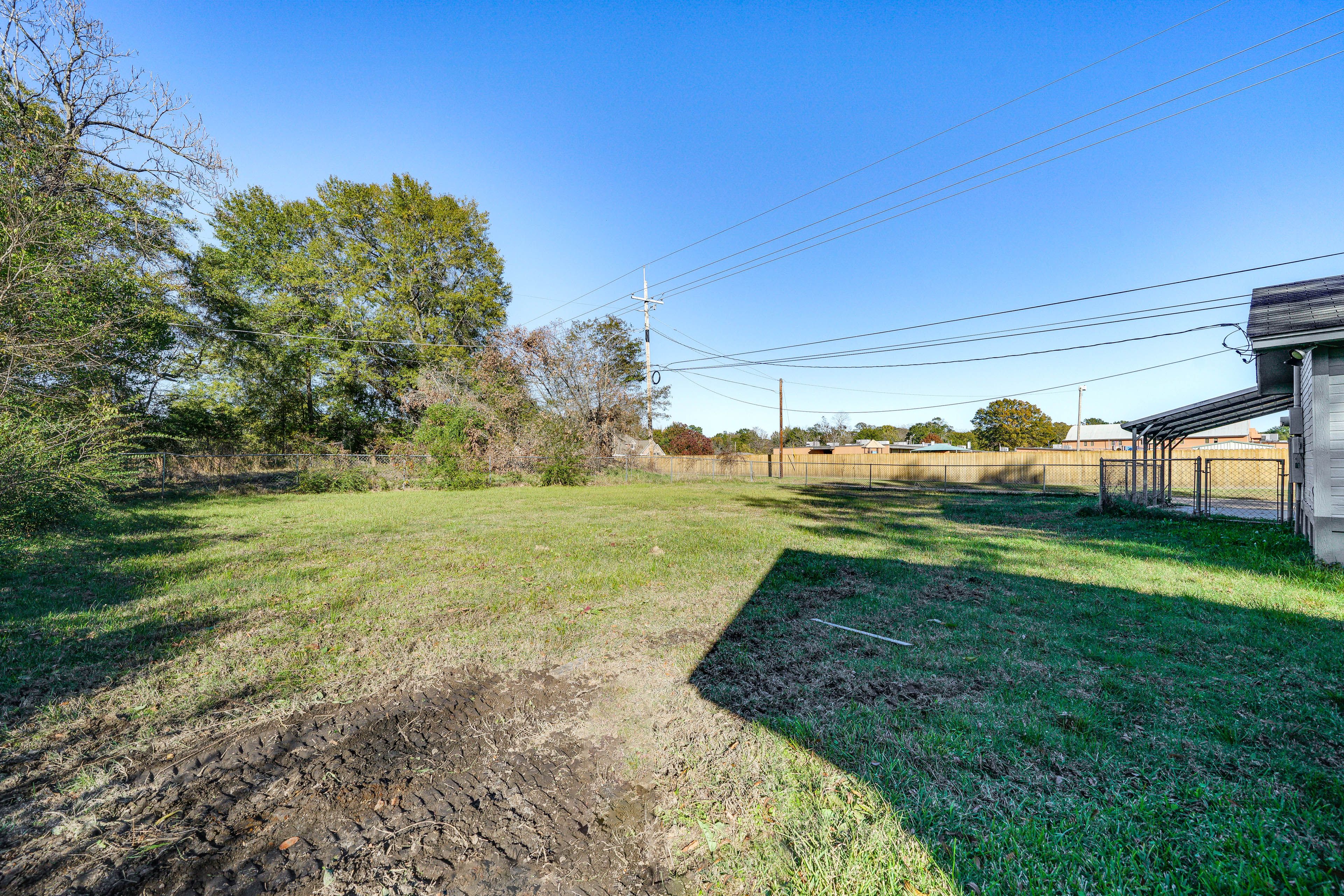 Large Backyard