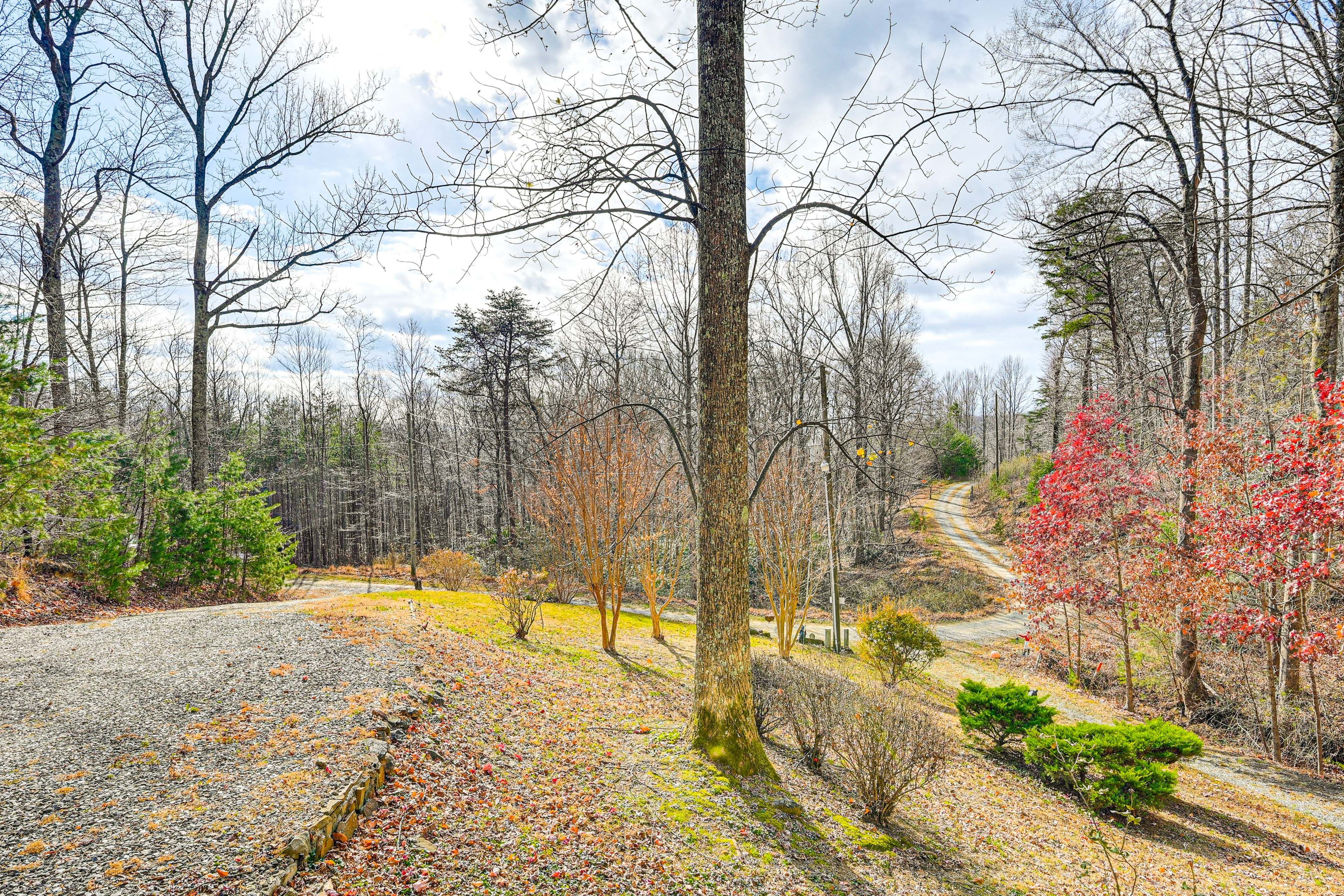 Large Private Yard