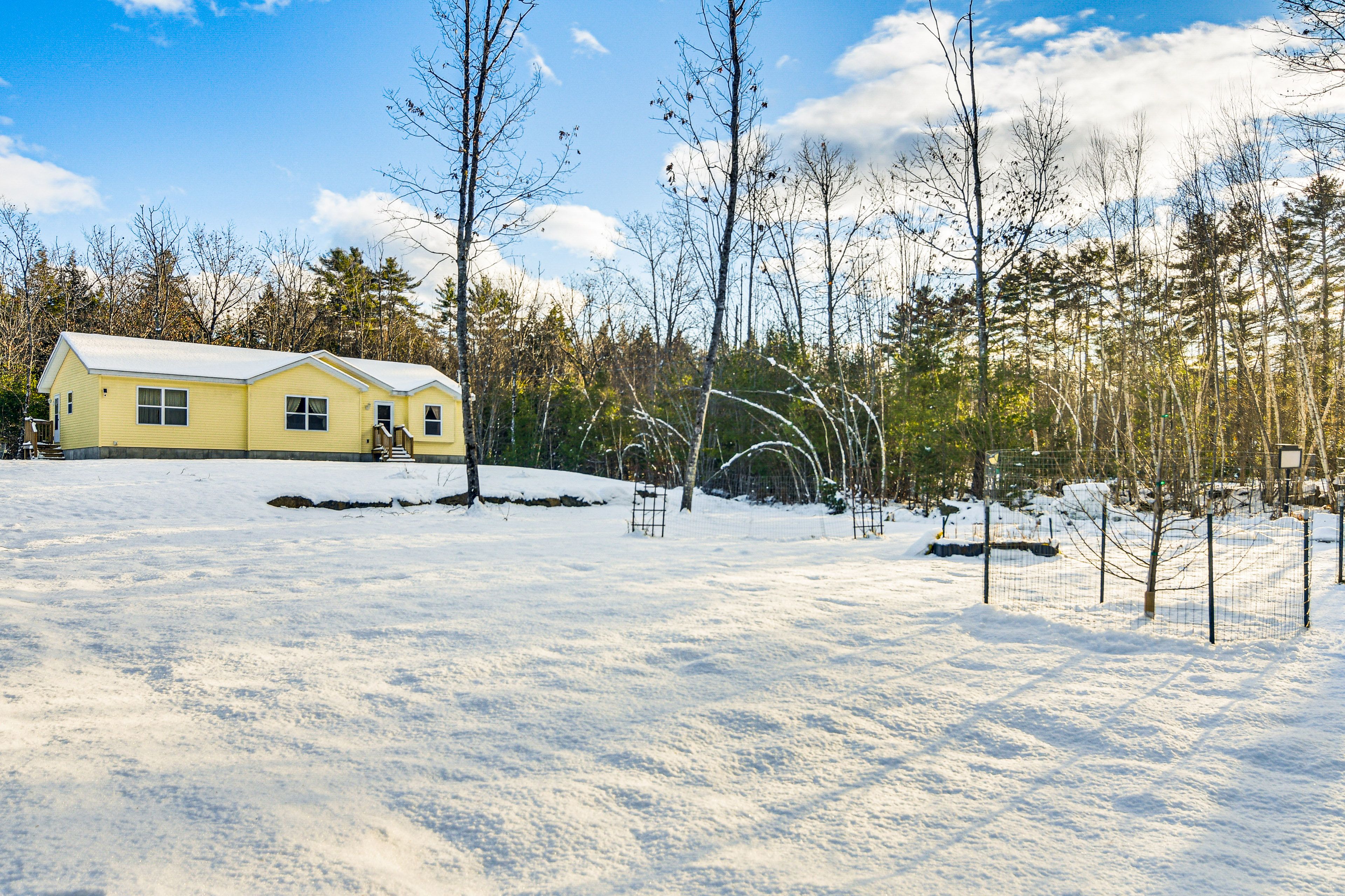 Berry Bushes On-Site