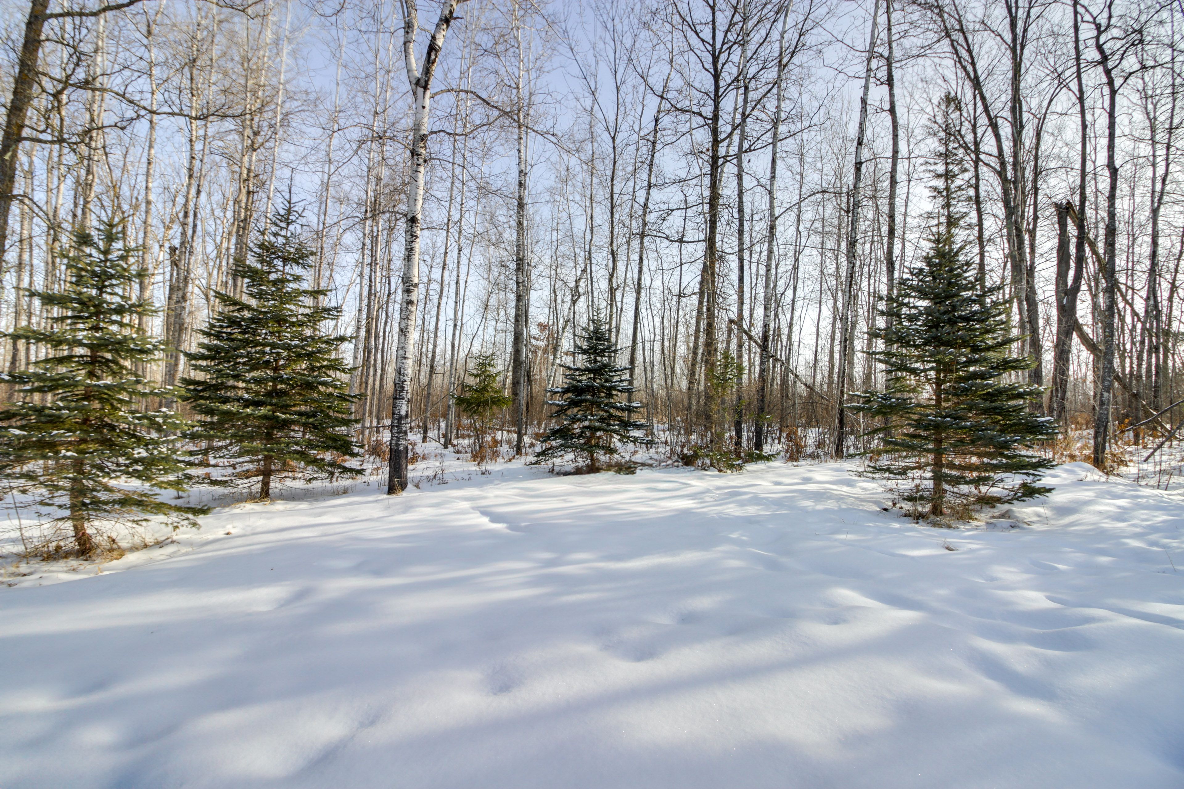 Property Surroundings