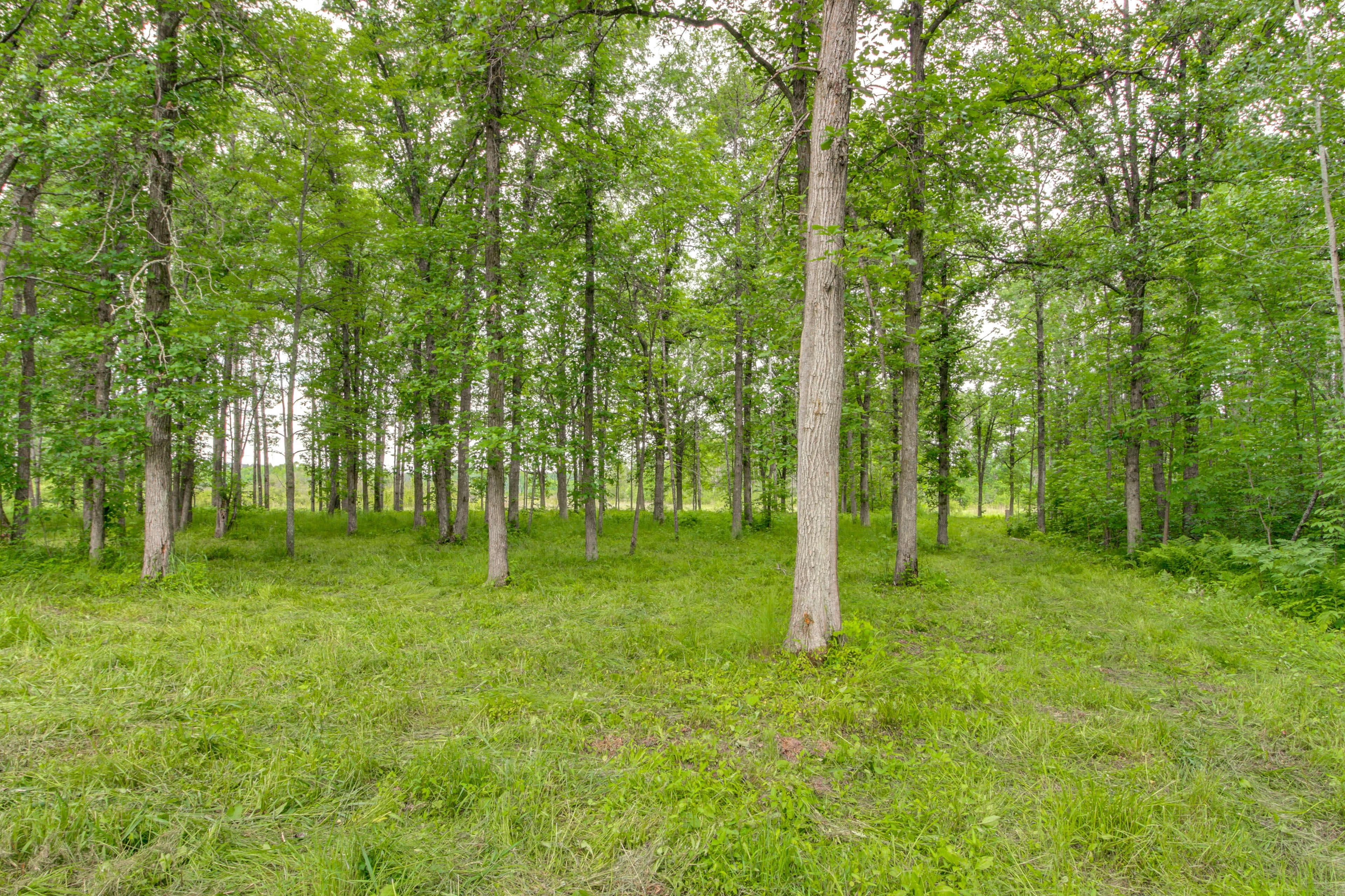 Property Surroundings | On-Site Trails