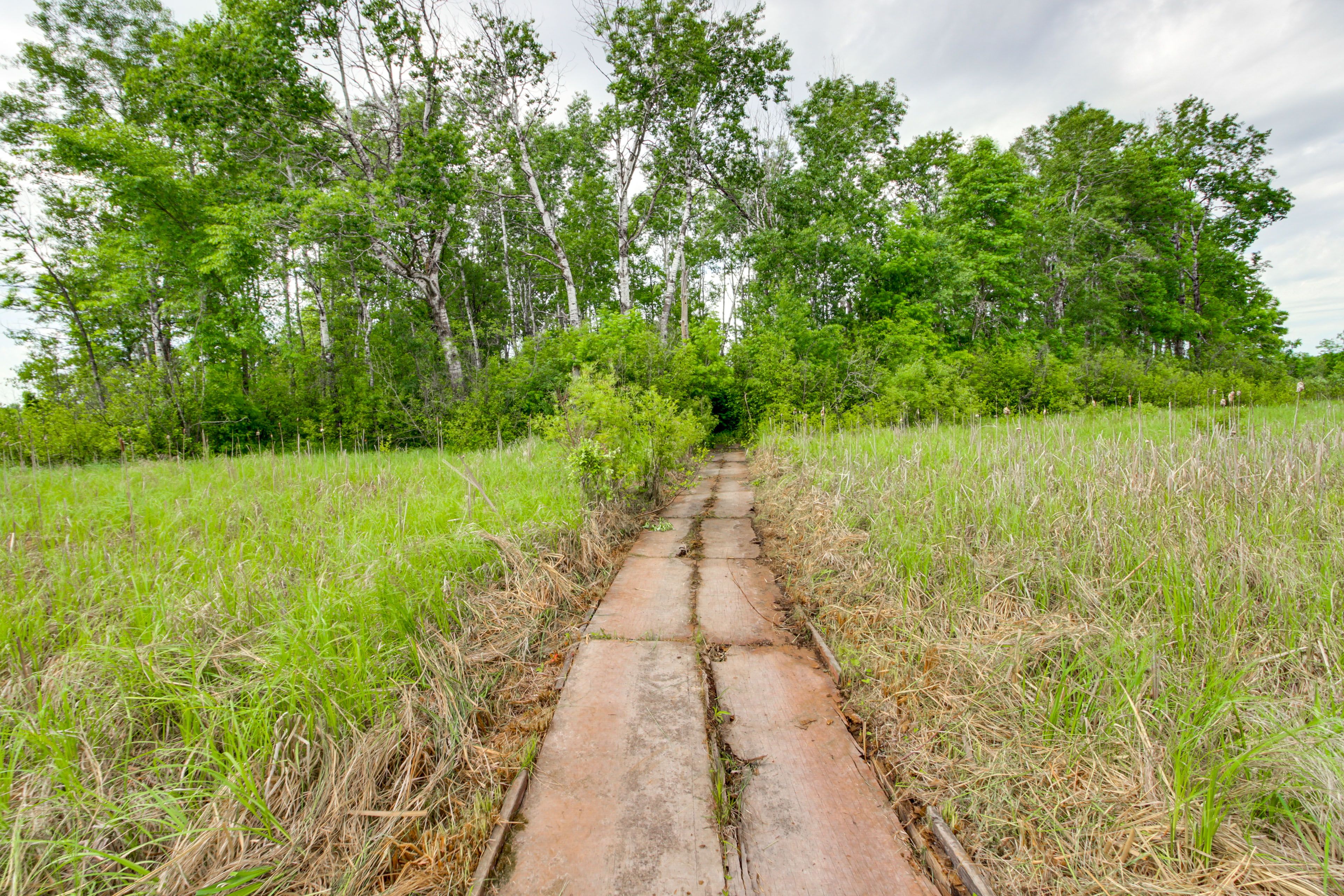 Image 34