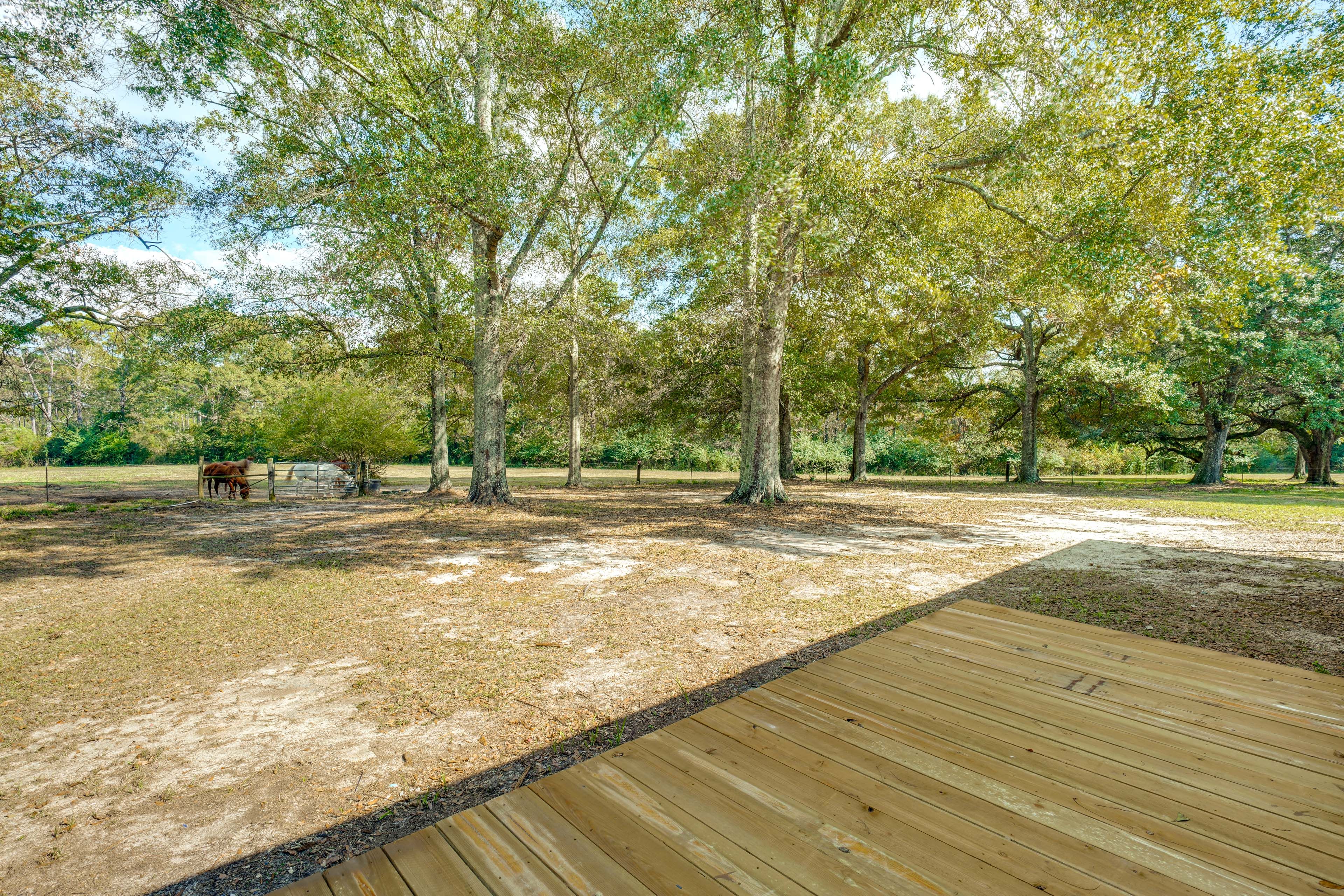 Private Deck | Pasture Views