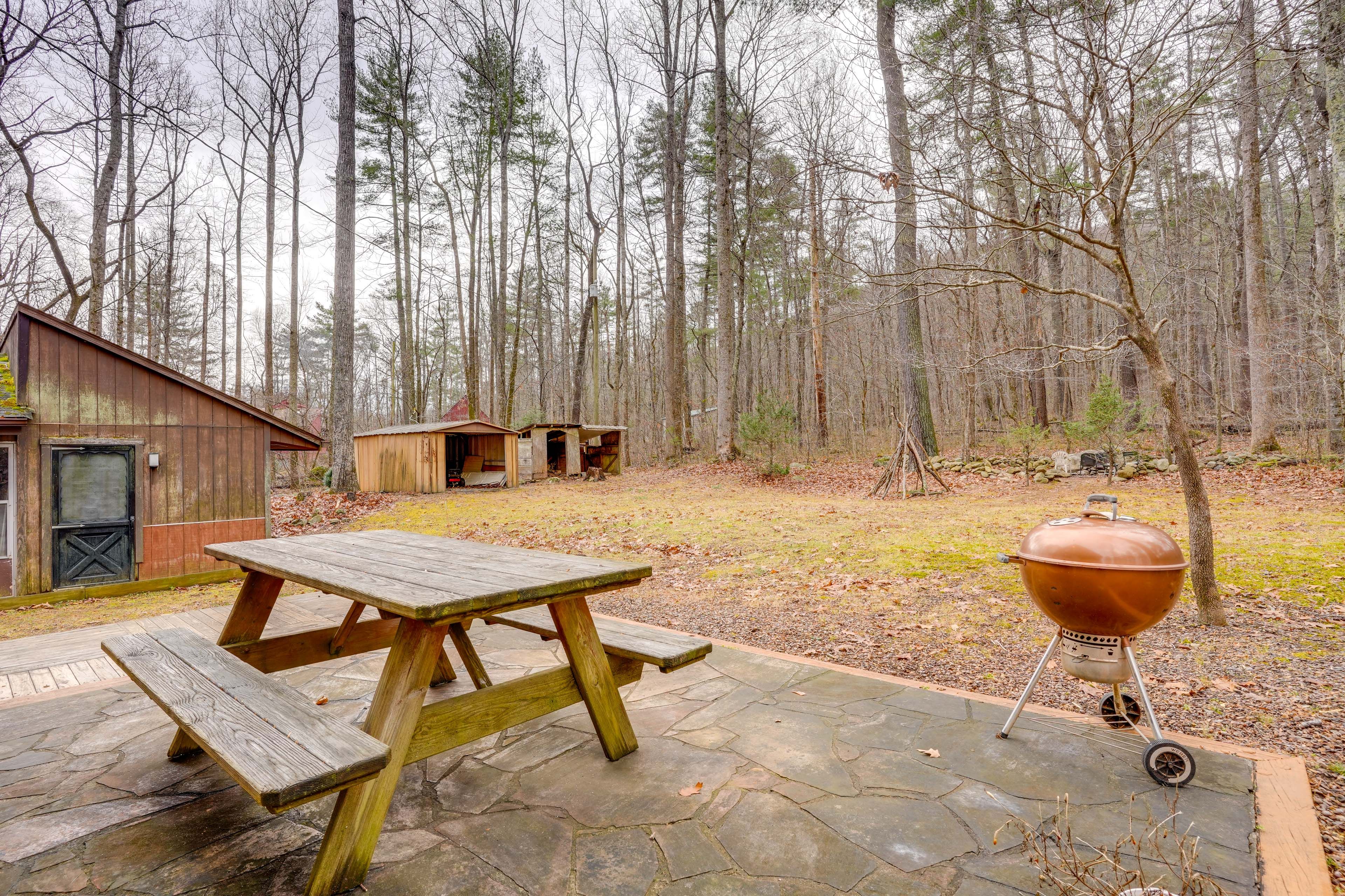 Patio | Charcoal Grill | Picnic Table | Mountain Views