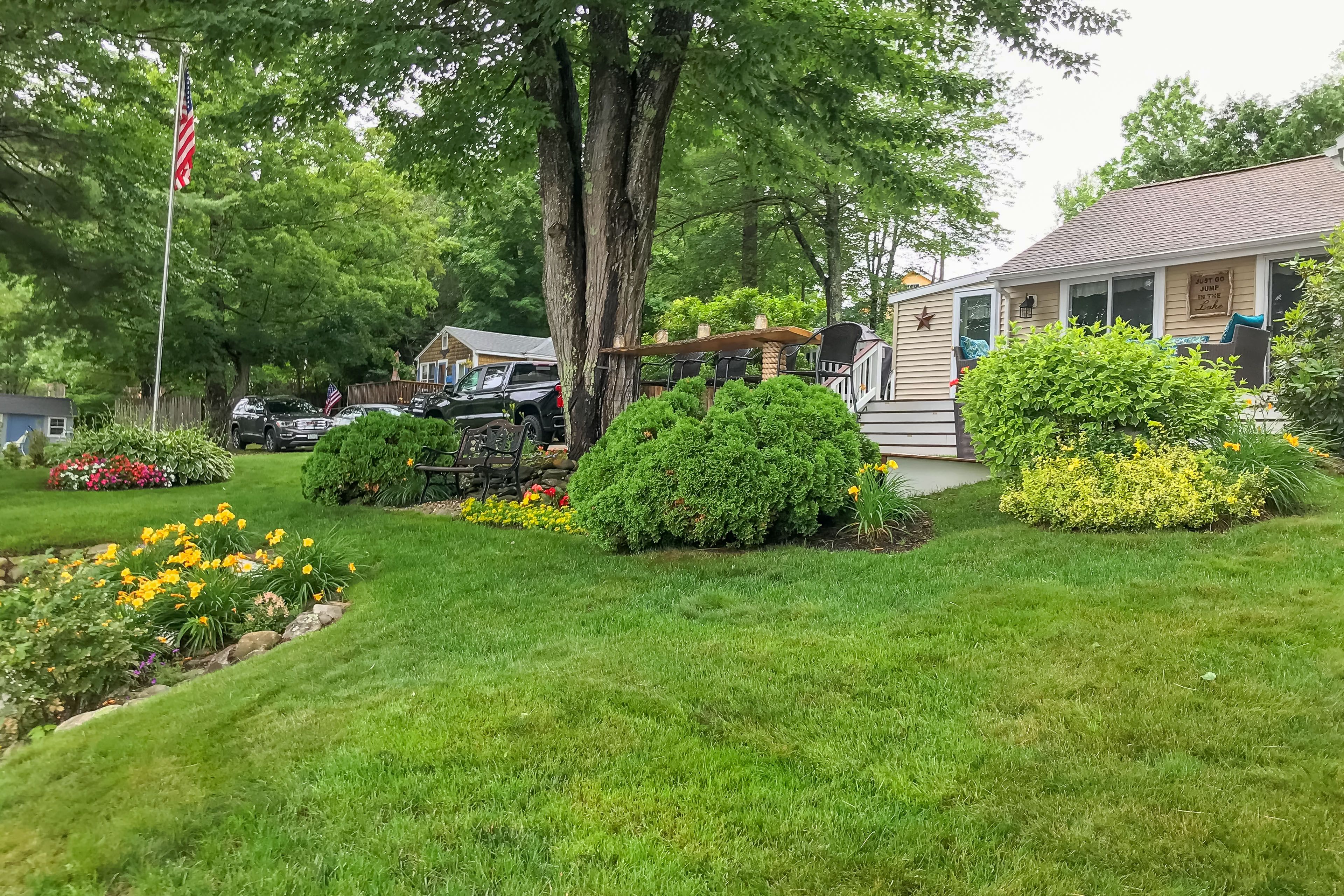Image 31
