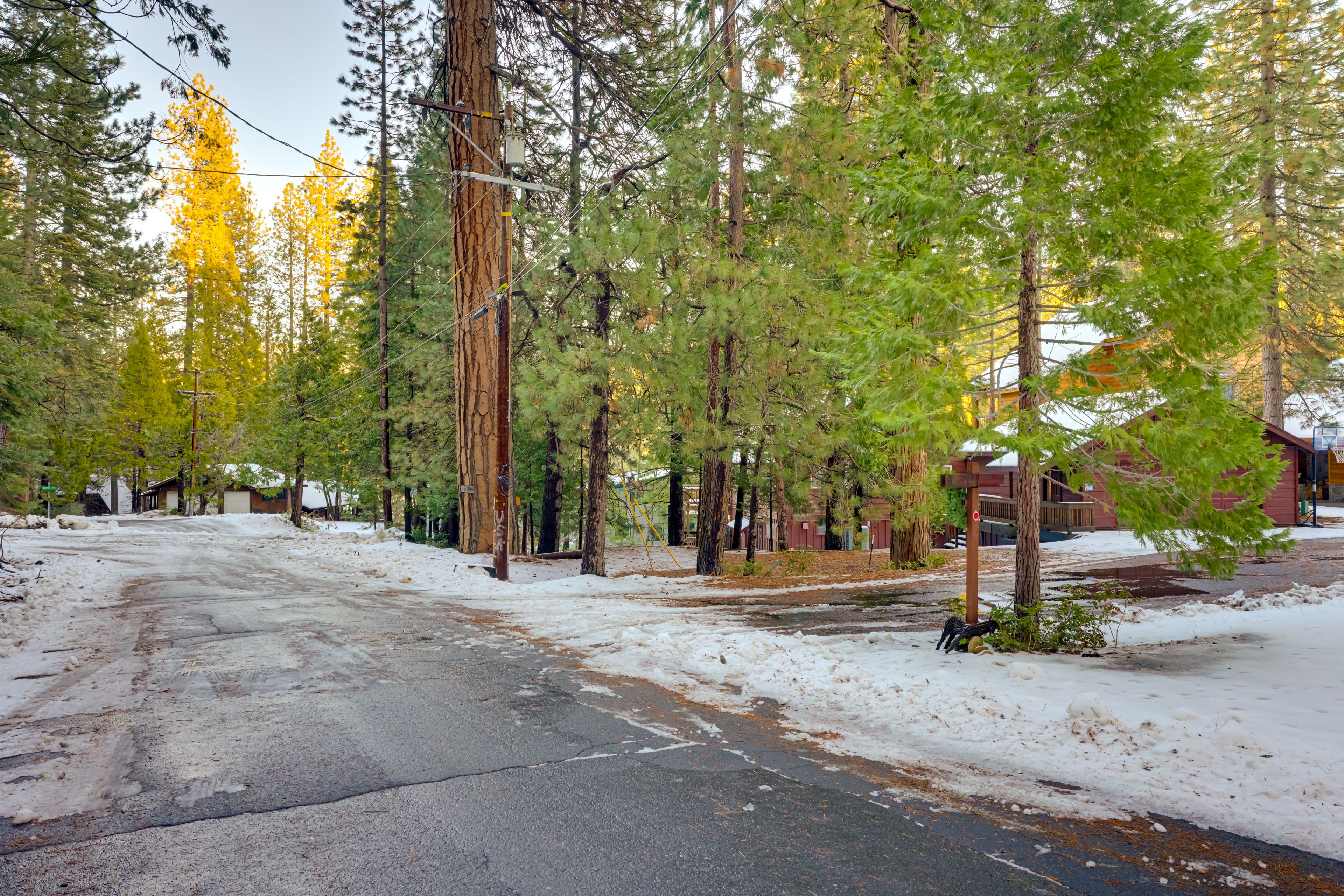 Surrounding Area