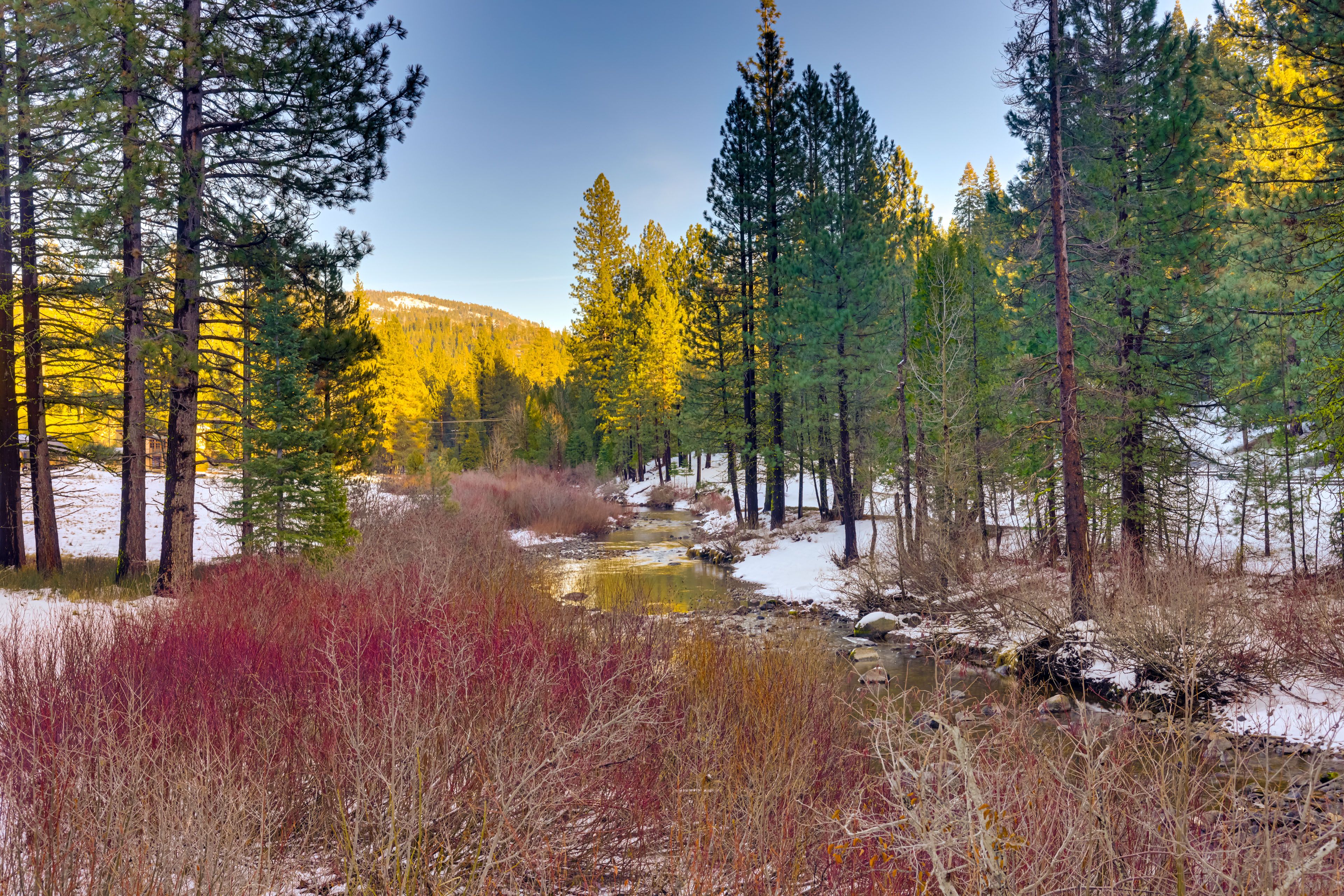 Nearby River Access