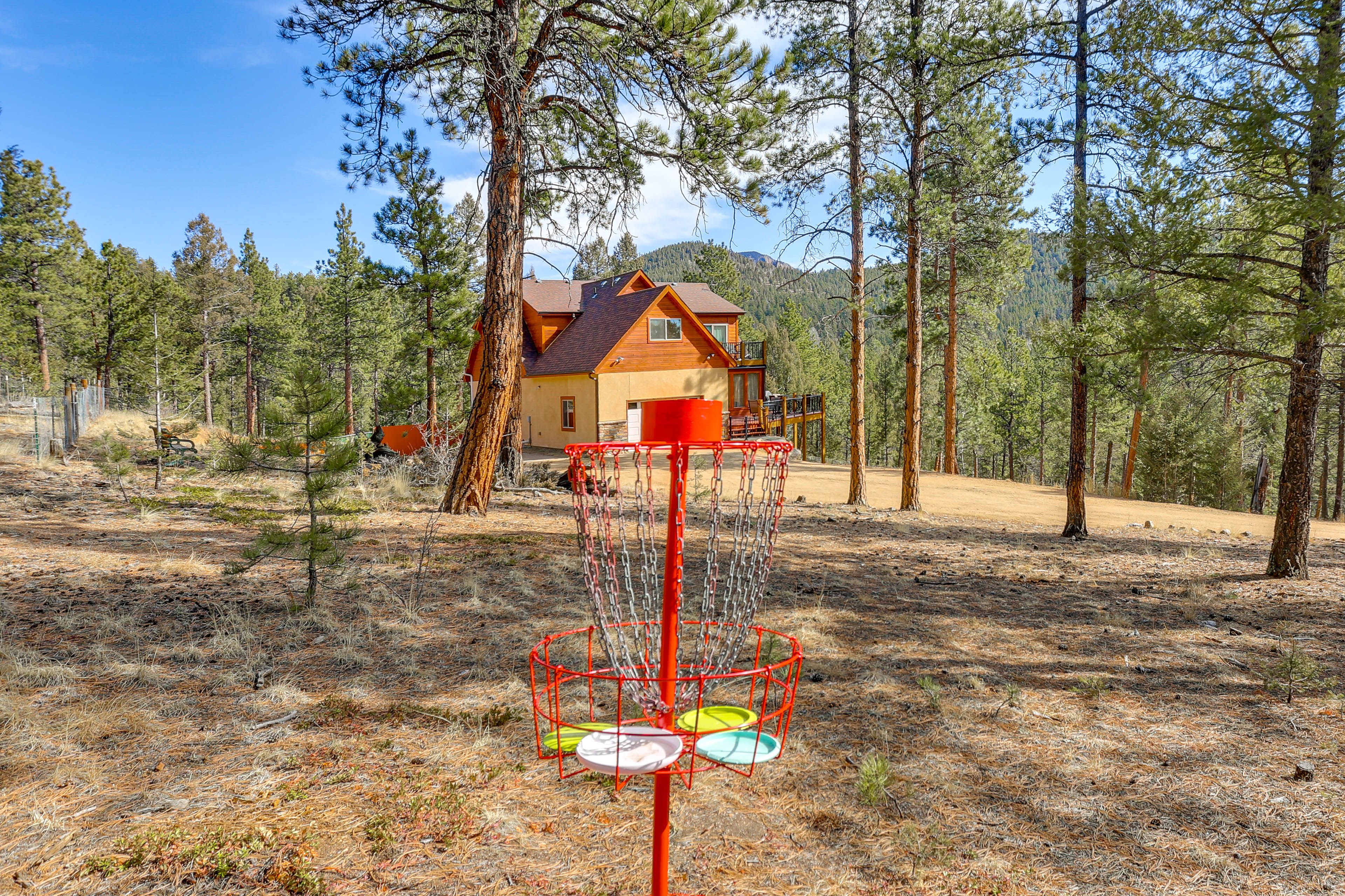 Disc Golf