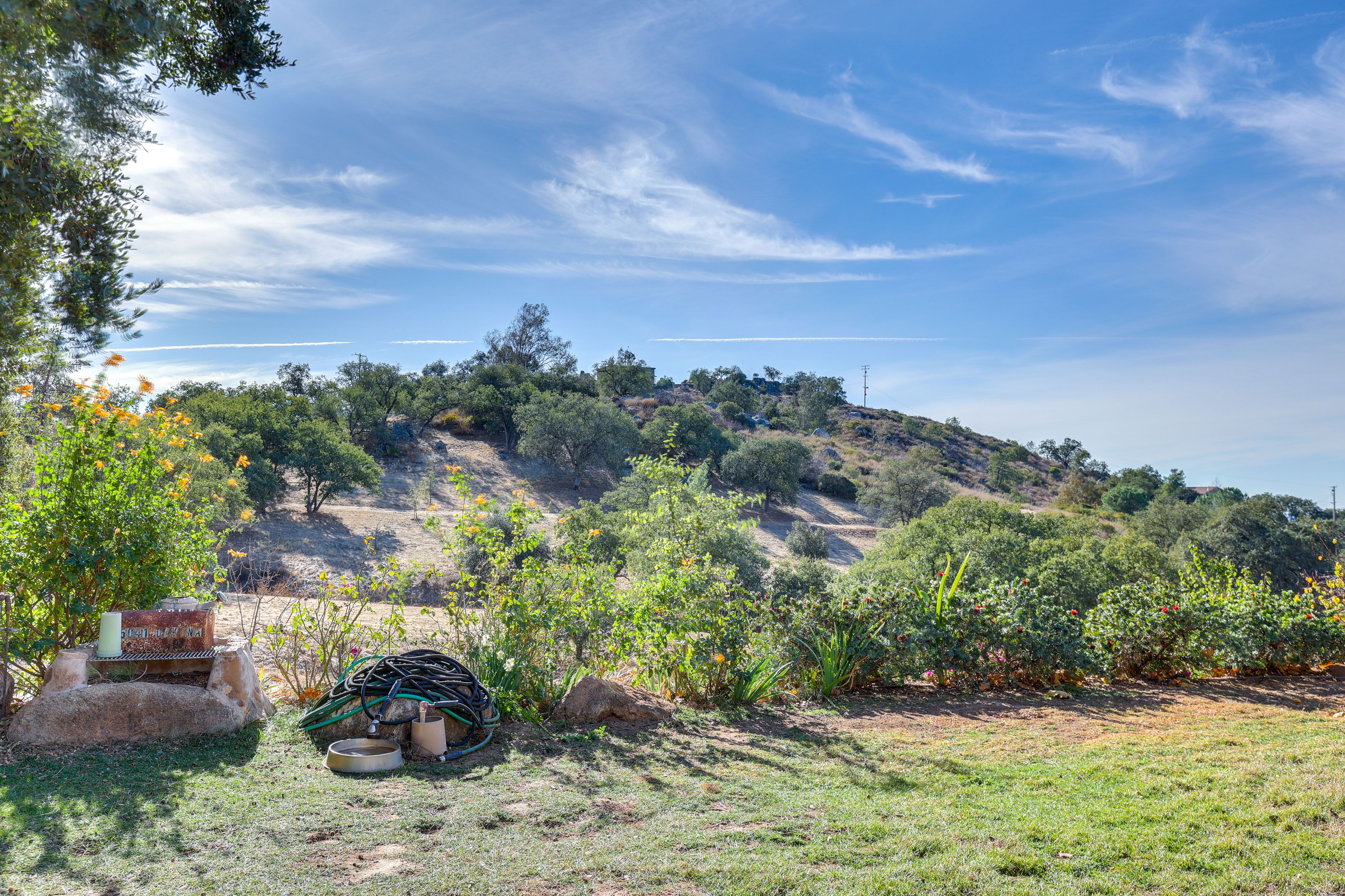 Backyard | 10-Acre Property