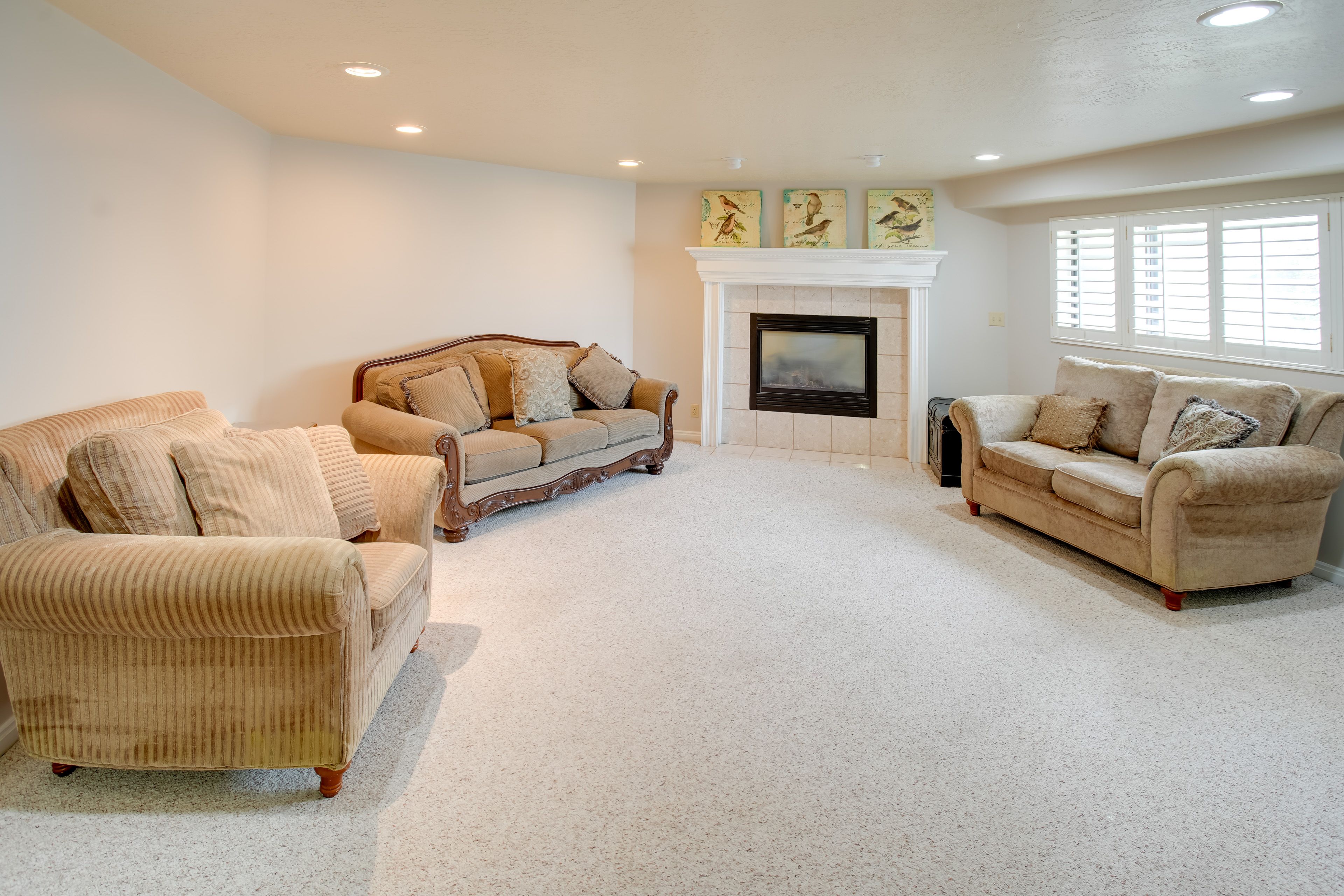 Downstairs Living Room | Lower Level | Fireplace