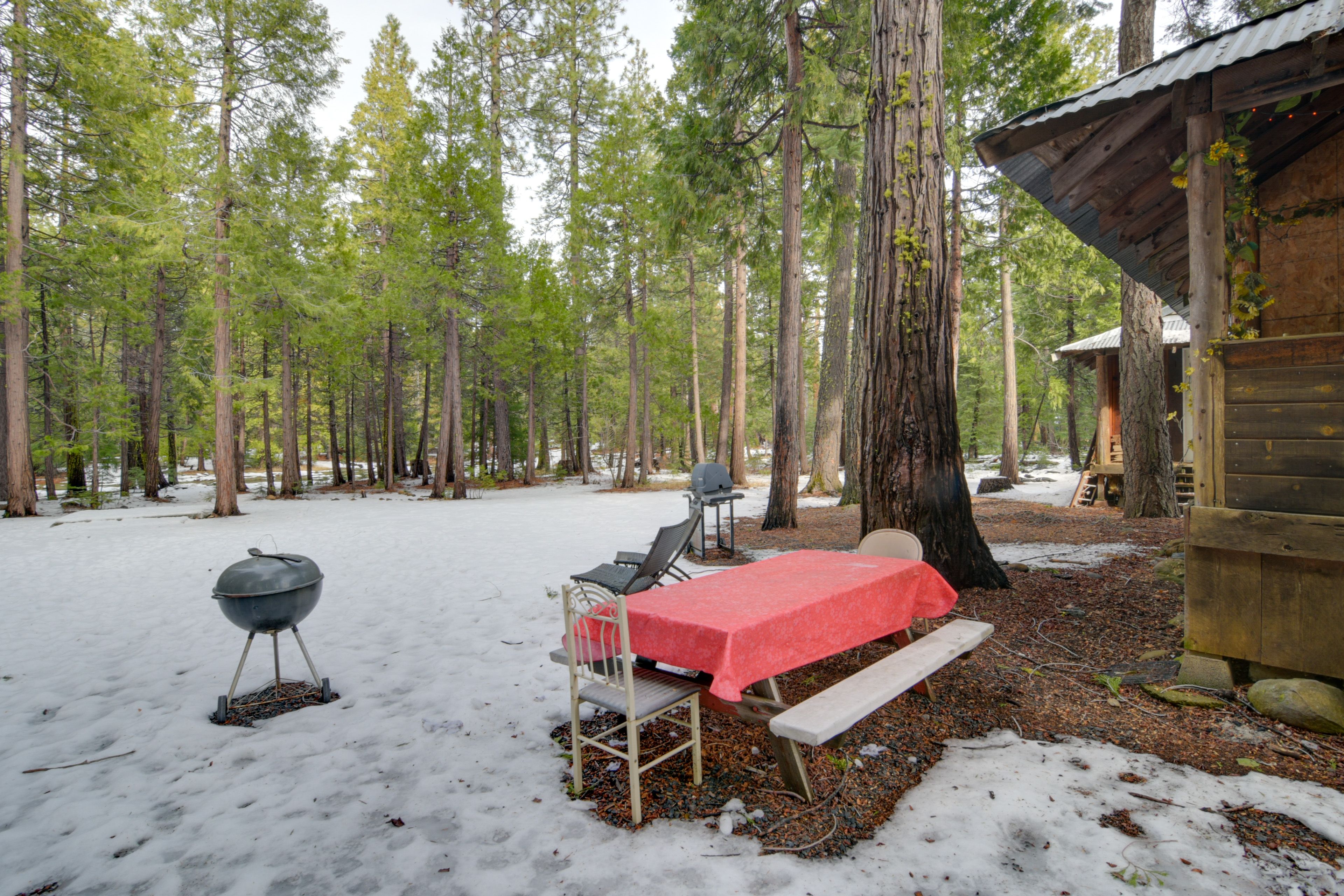 Charcoal Grill | Outdoor Dining Area