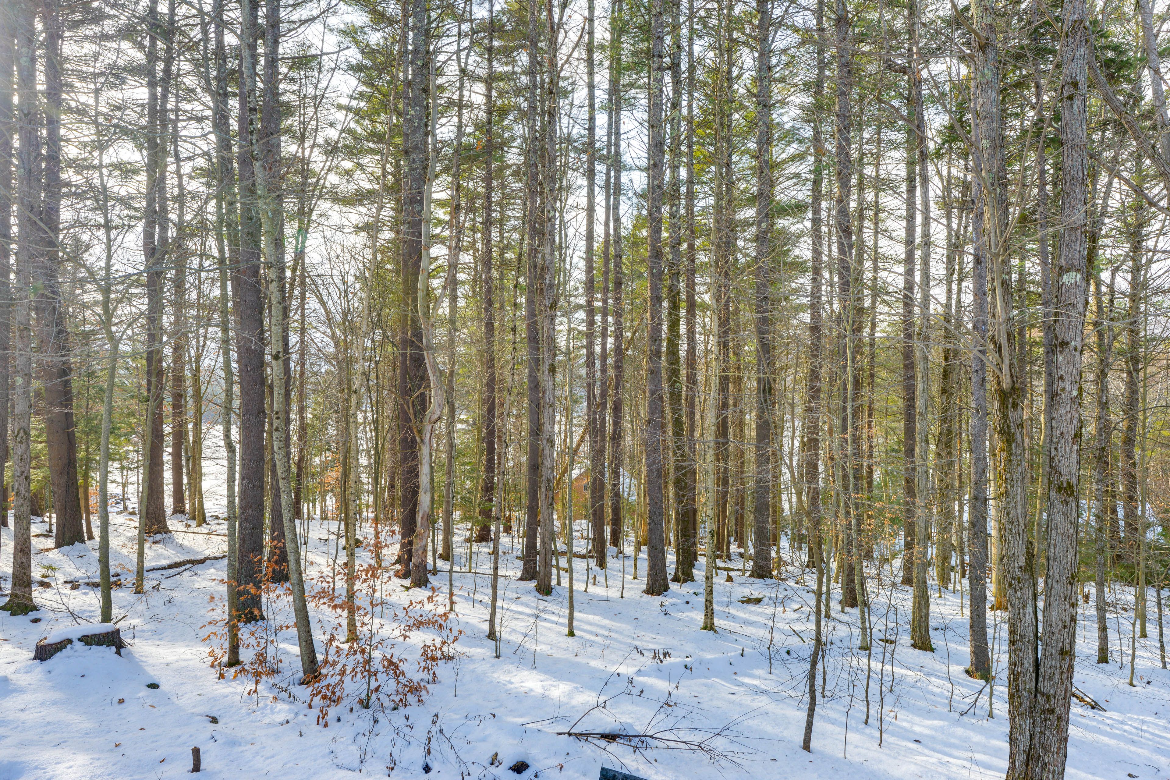 Surrounding Area