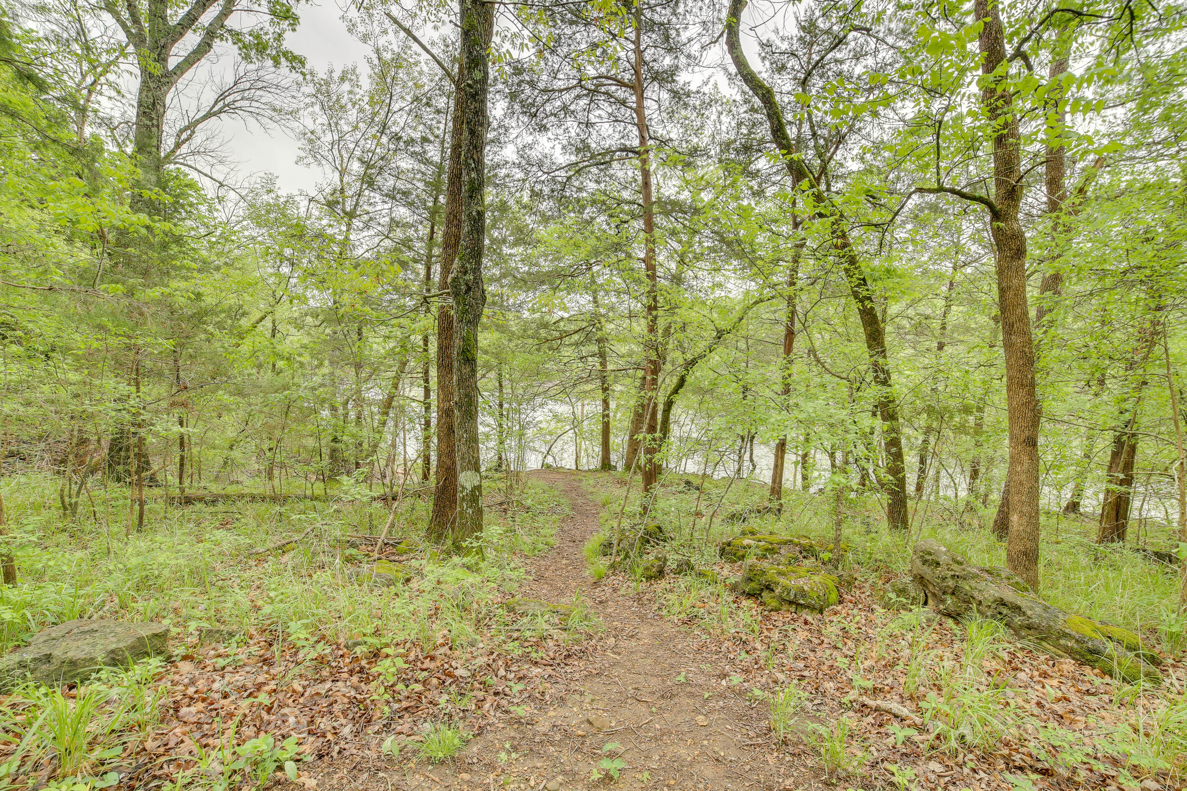 Short walk to the lake