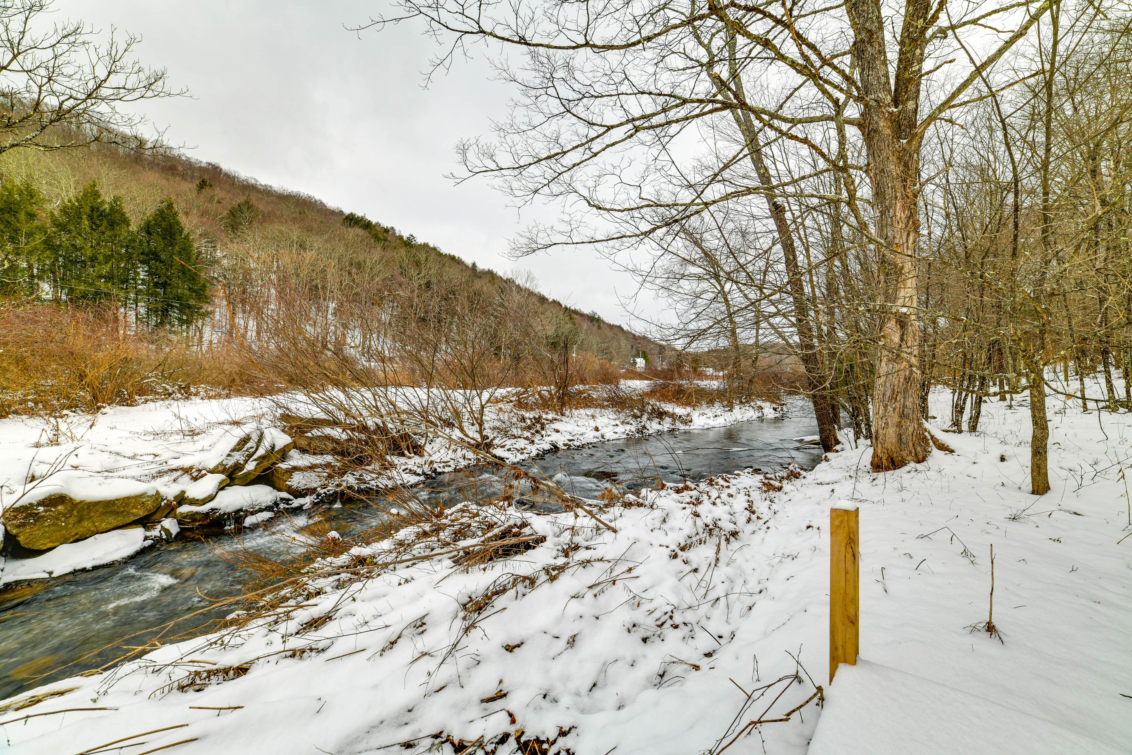 Private Boardwalk | Creek & Mountain Views