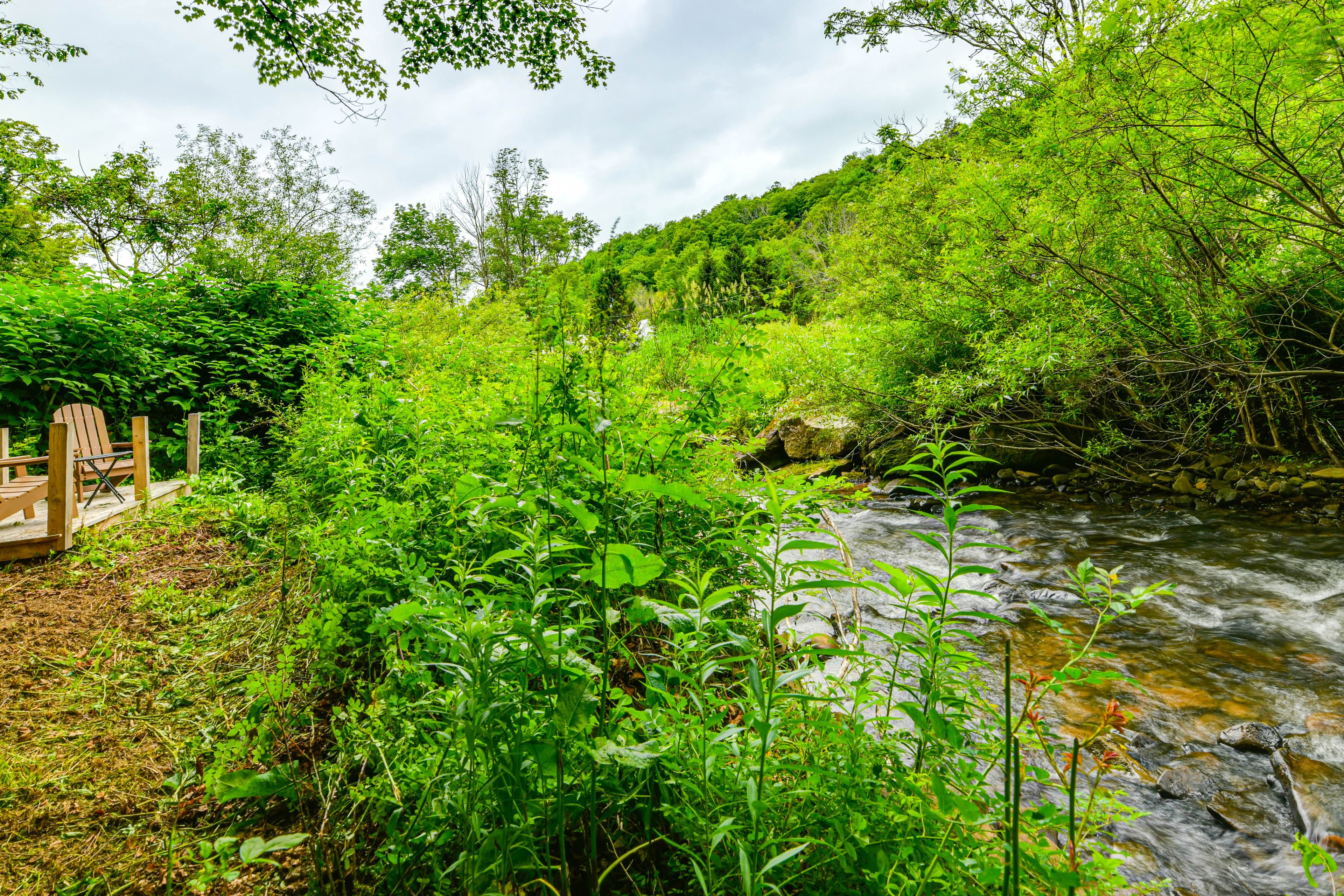 Creek On-Site