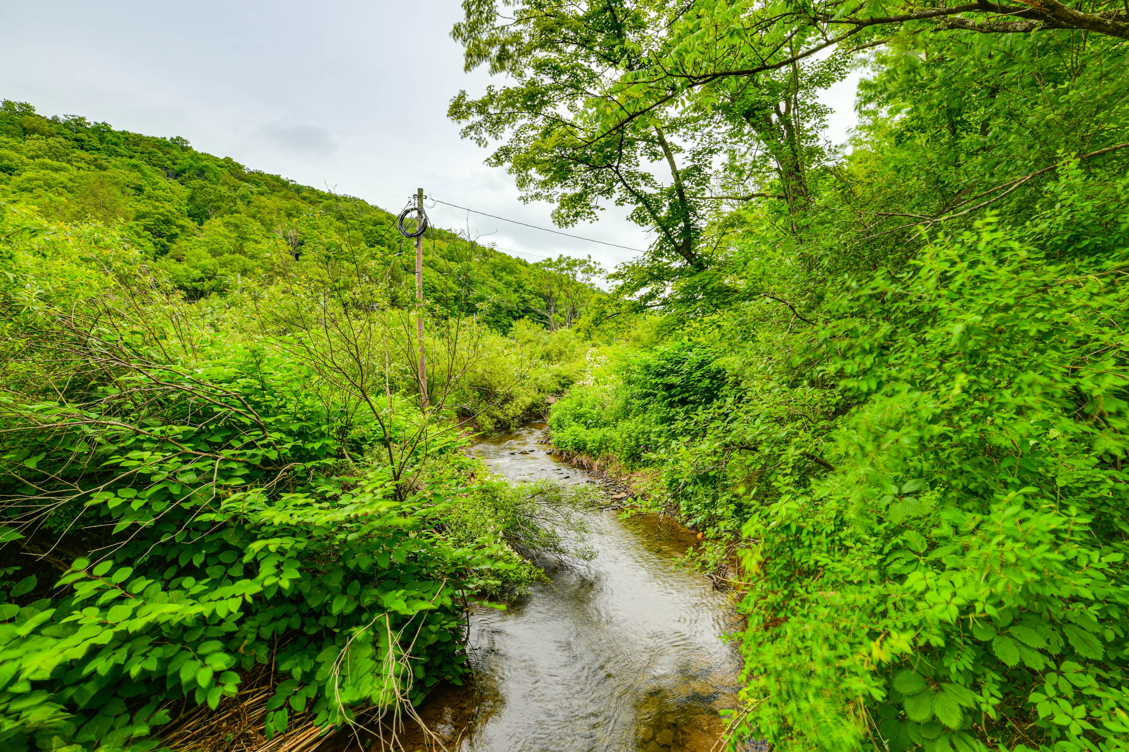 Private Boardwalk | Creek & Mountain Views