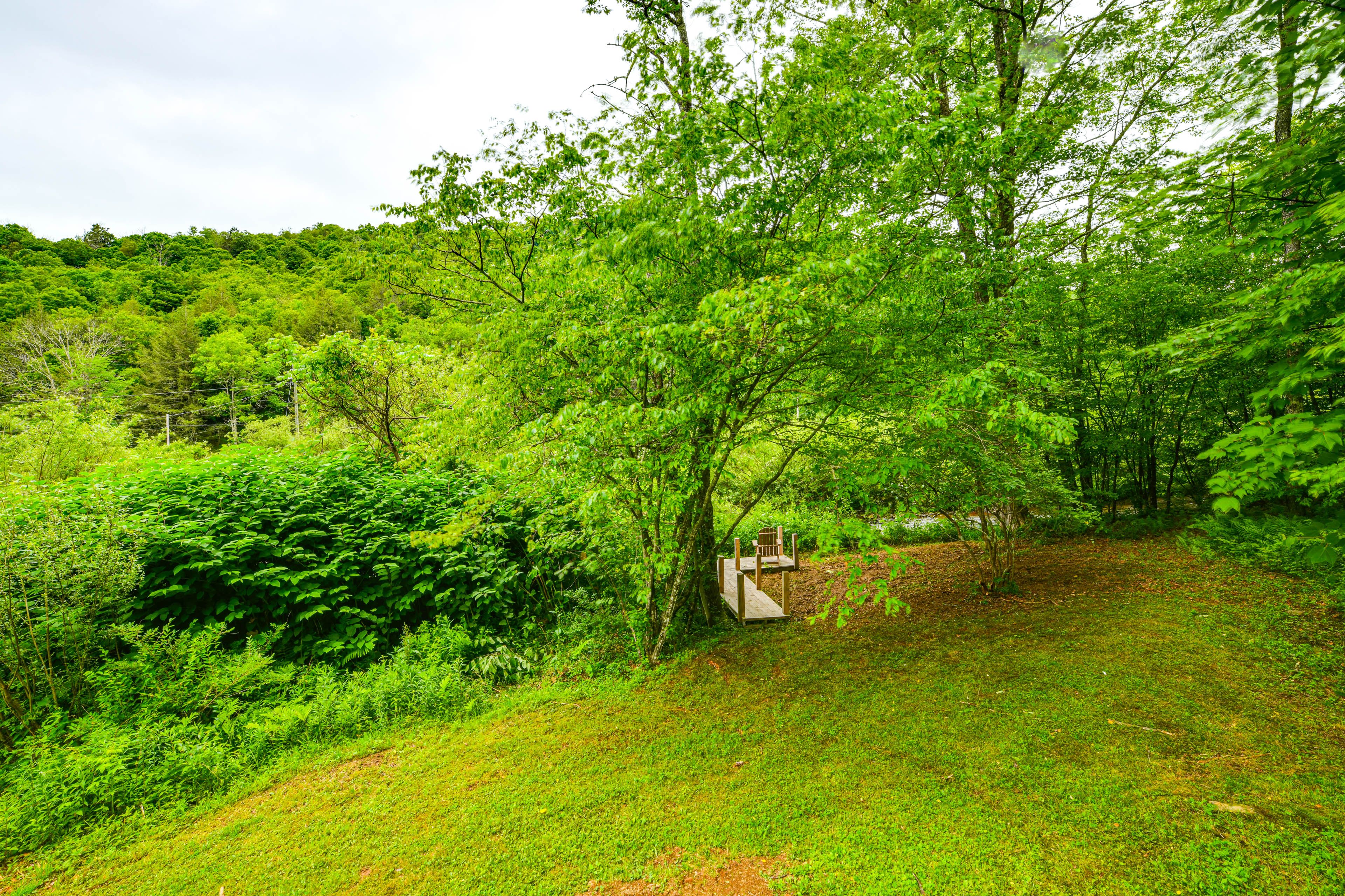 Image 23
