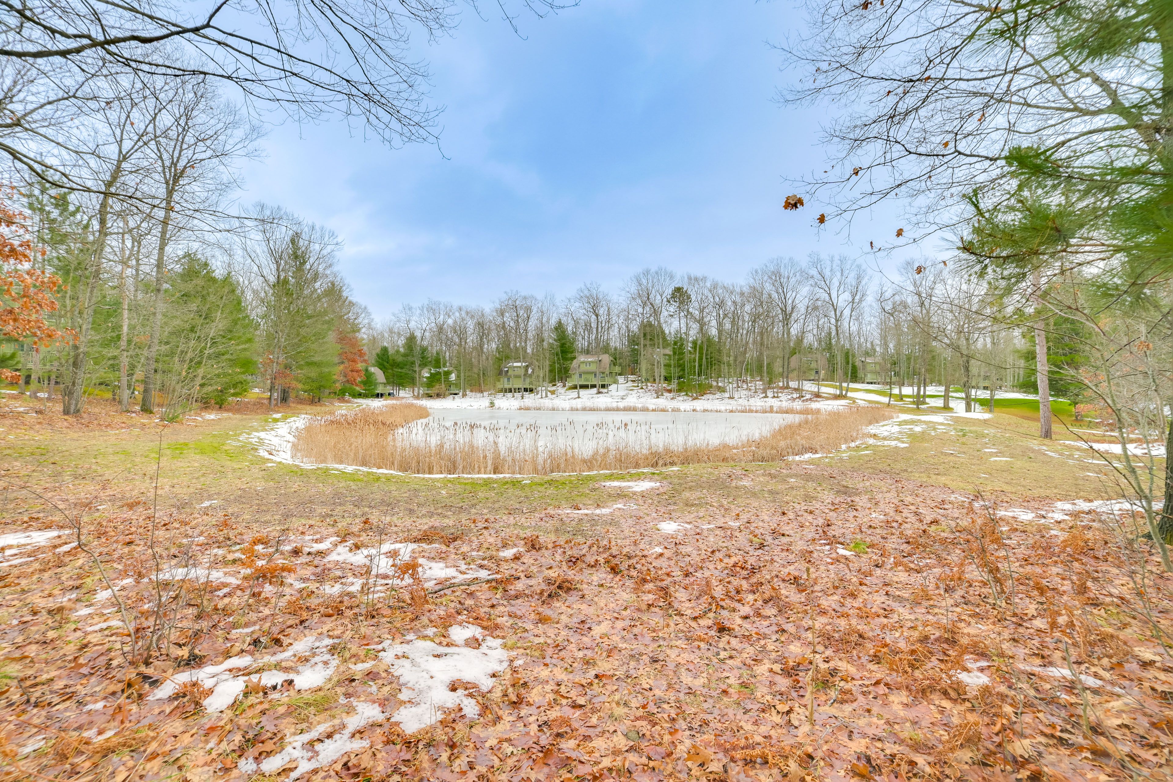 Pond View