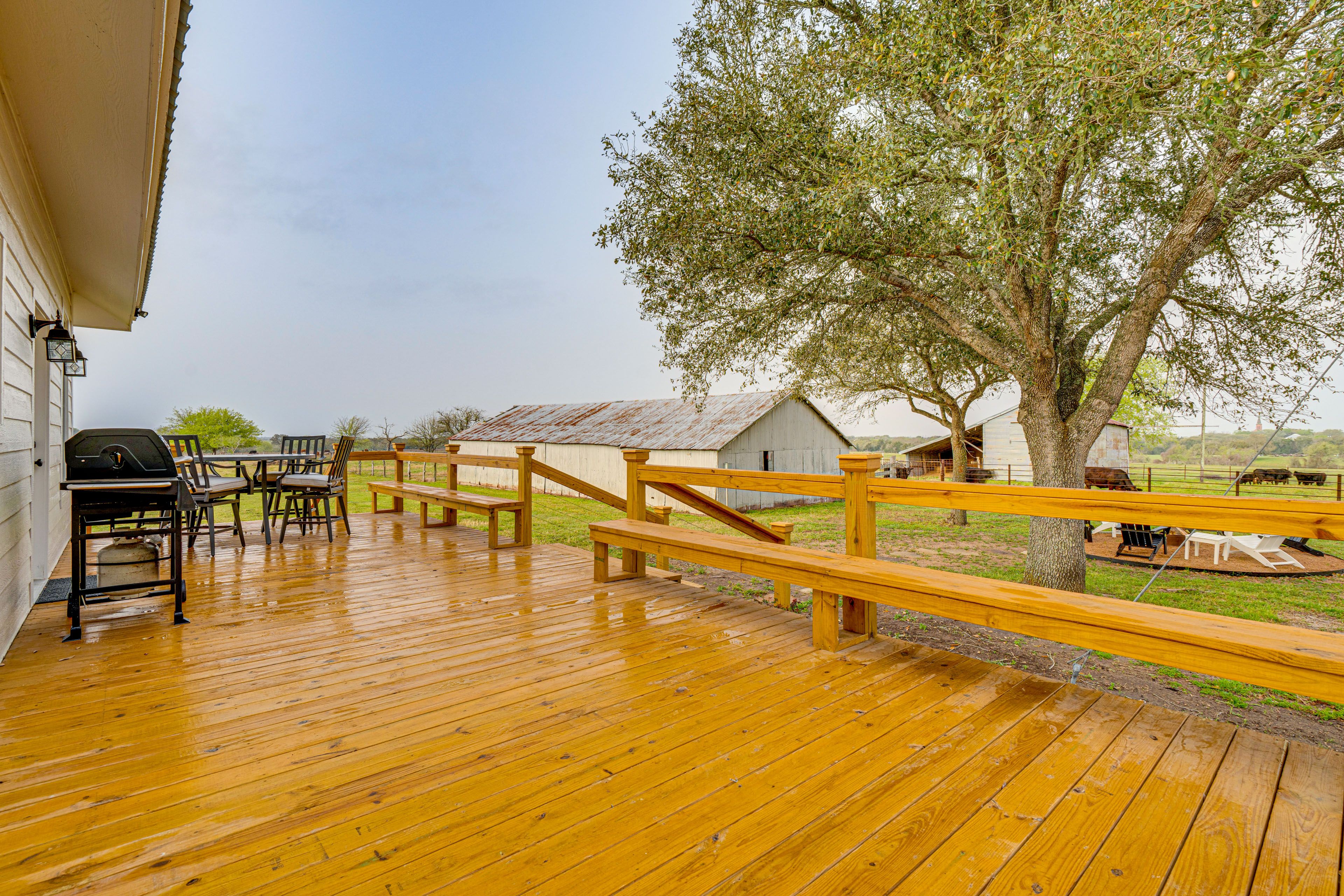 Private Deck | Gas Grill